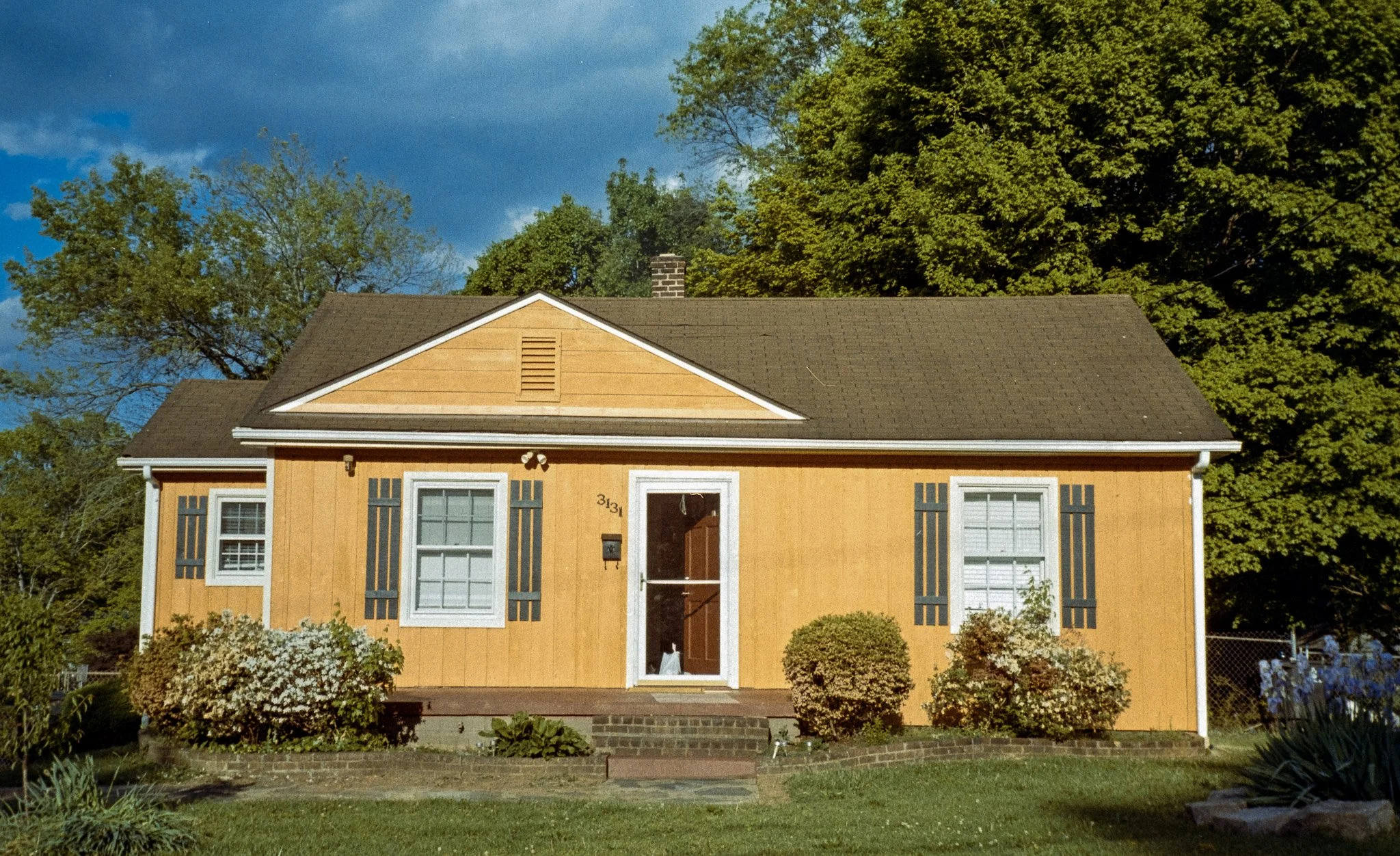                                                                              Untitled. Winston- Salem, NC '24. (Kodak Gold 200.)