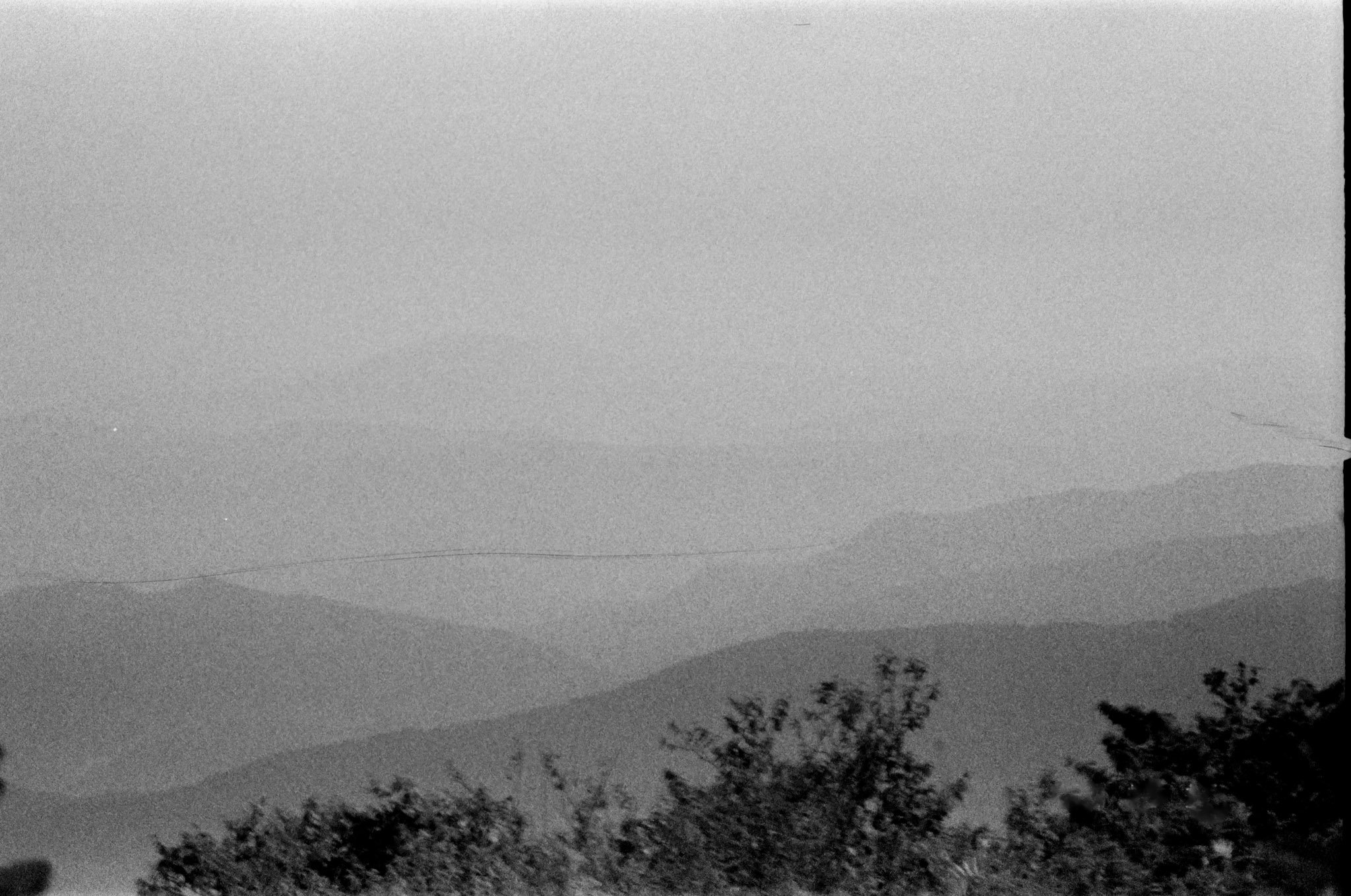 The Blue Ridge. Carver's Gap, NC '23. (Berlin Kino 400.)