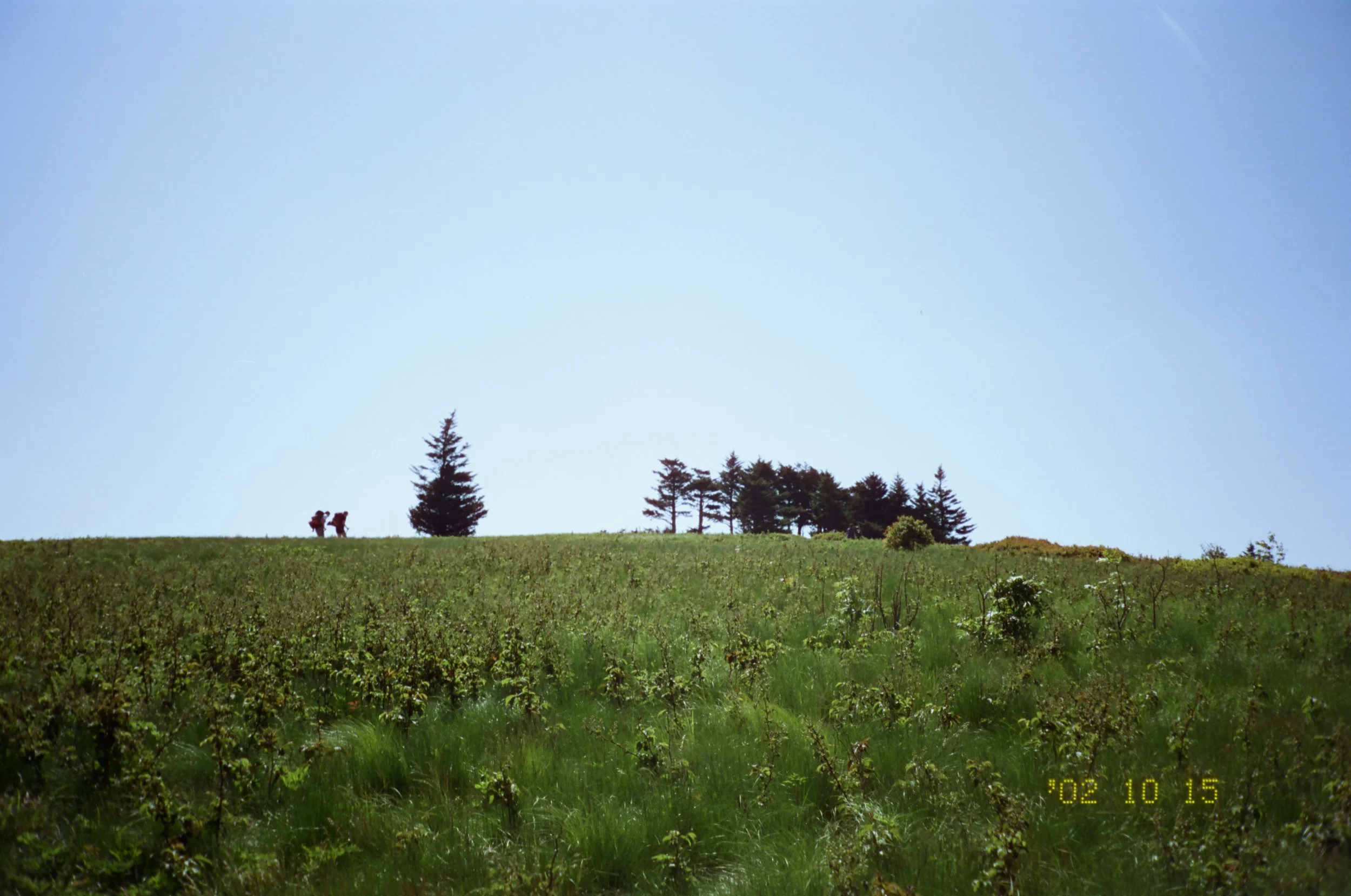 Carver's Gap. NC '24. (Cinestill 50D.)