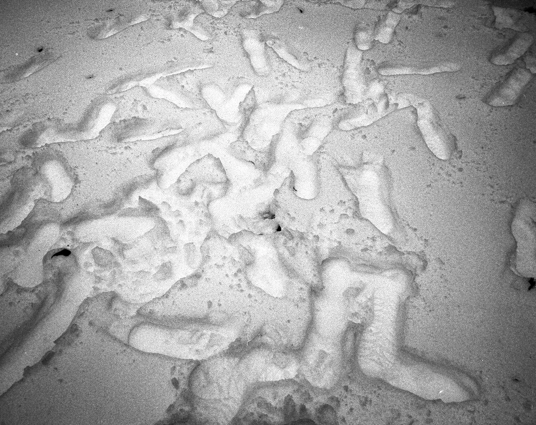 29-IMG_20250313_0002 copy.jpg