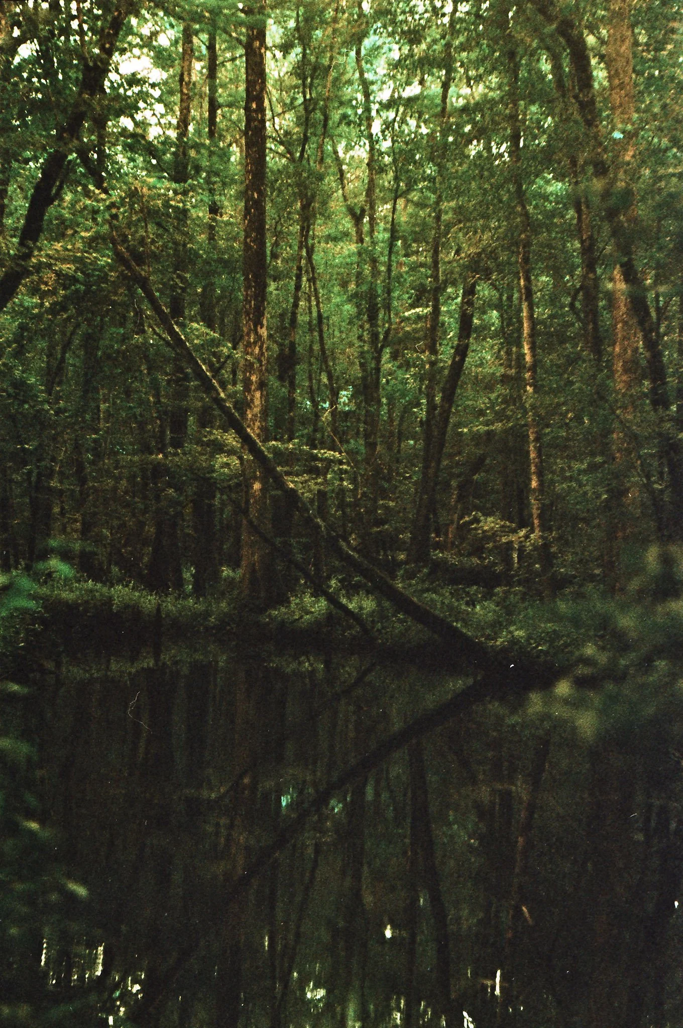 10-IMG_20241229_0010 copy.jpg