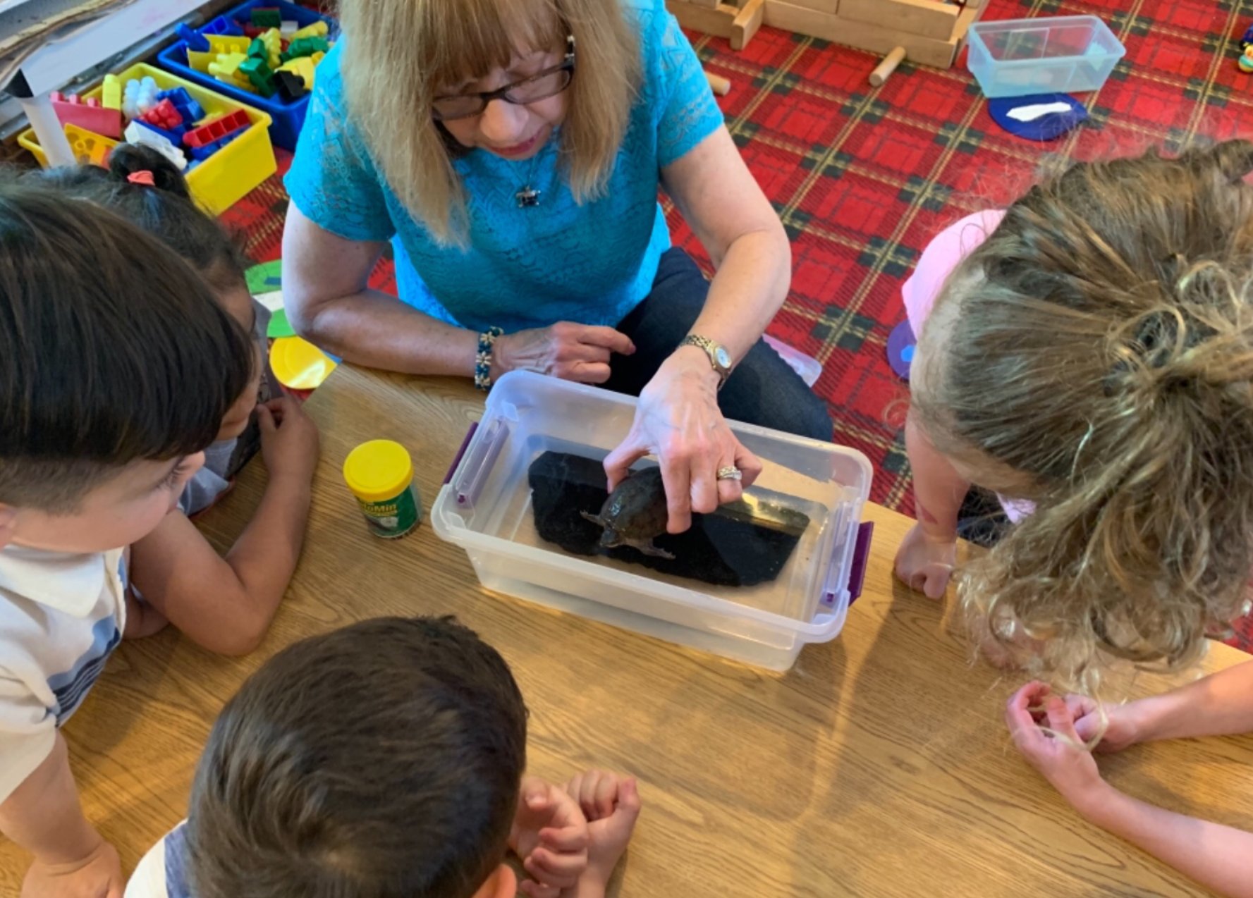 A woman holding a turtle inside a plastic container filled with water, surrounded by children watching attentively in a classroom.