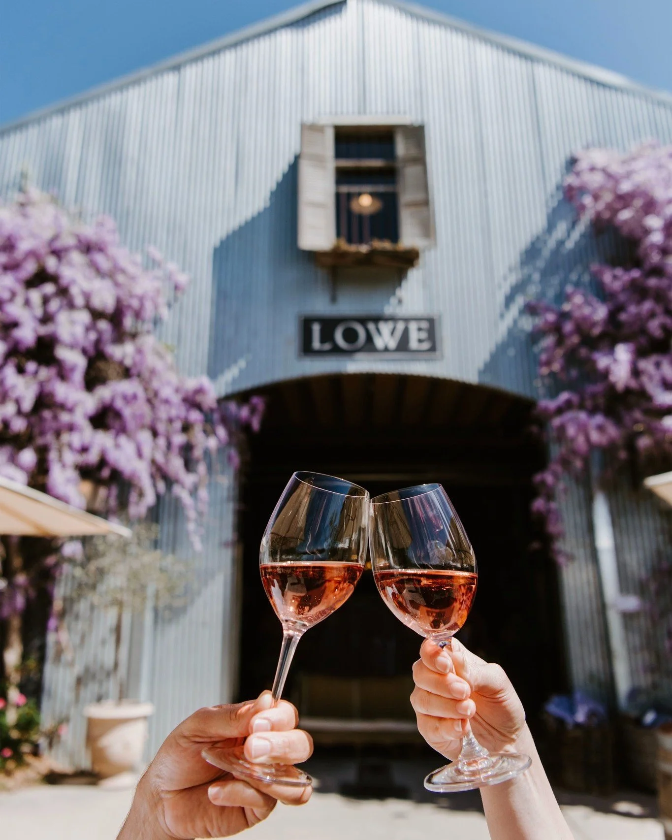 Two people clinking glasses of rosé wine in front of a rustic barn with a sign that says "Lowe" and surrounded by purple flowering trees.