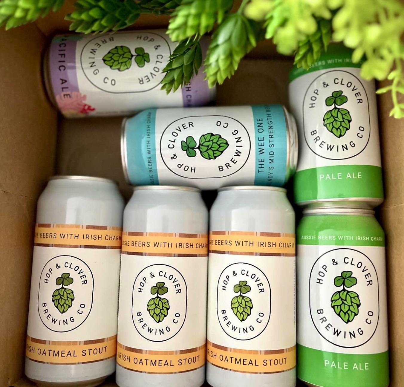 A box containing six cans of Hop & Clover Brewing Co. Irish Oatmeal Stout and Pale Ale beers, with decorative green foliage at the top.
