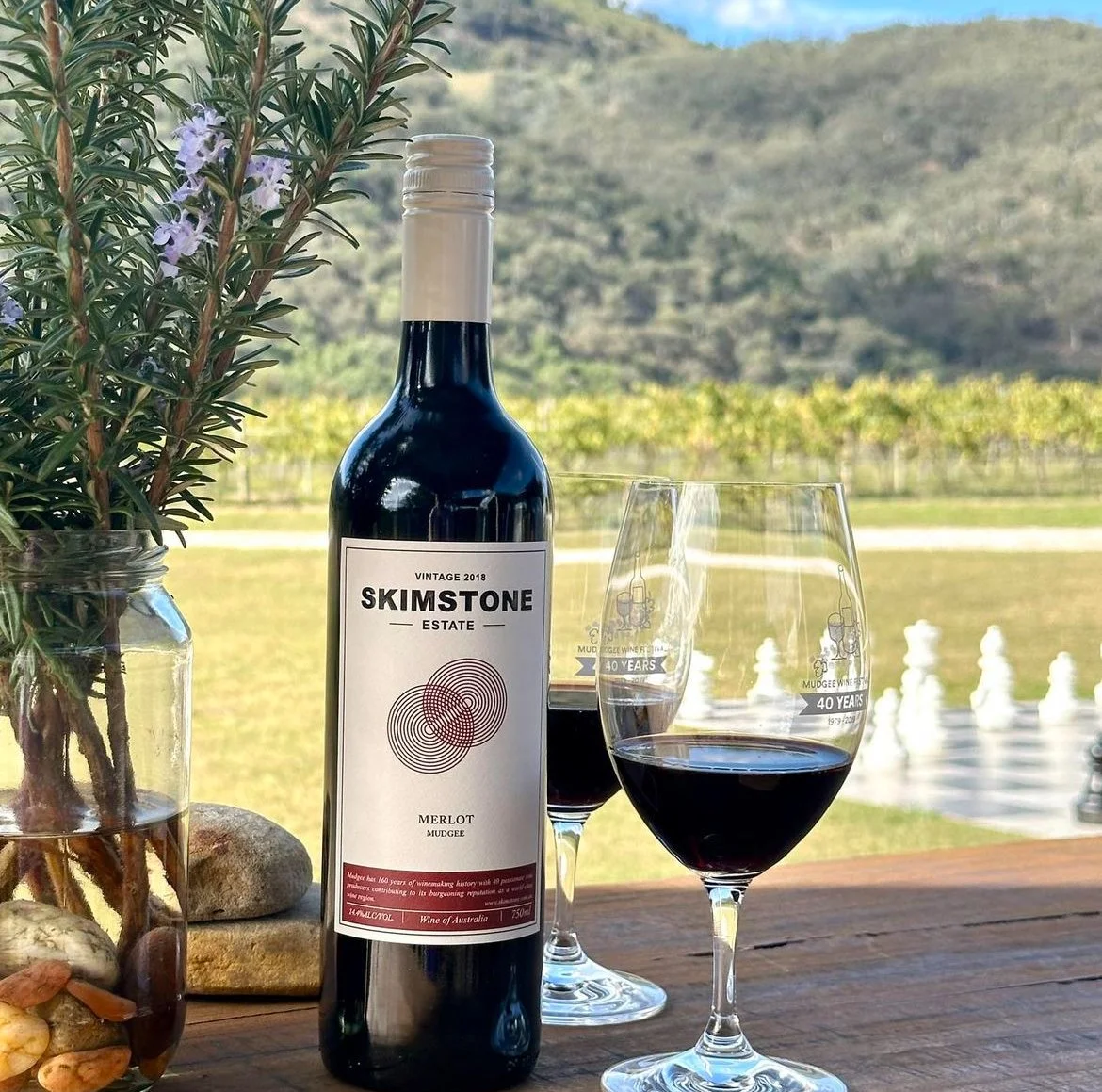 A bottle of Skimstone Estate Merlot wine, two wine glasses filled with red wine, a plant in a jar, and some rocks on a wooden surface with a vineyard and hills in the background.
