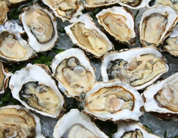 Fresh oysters on ice