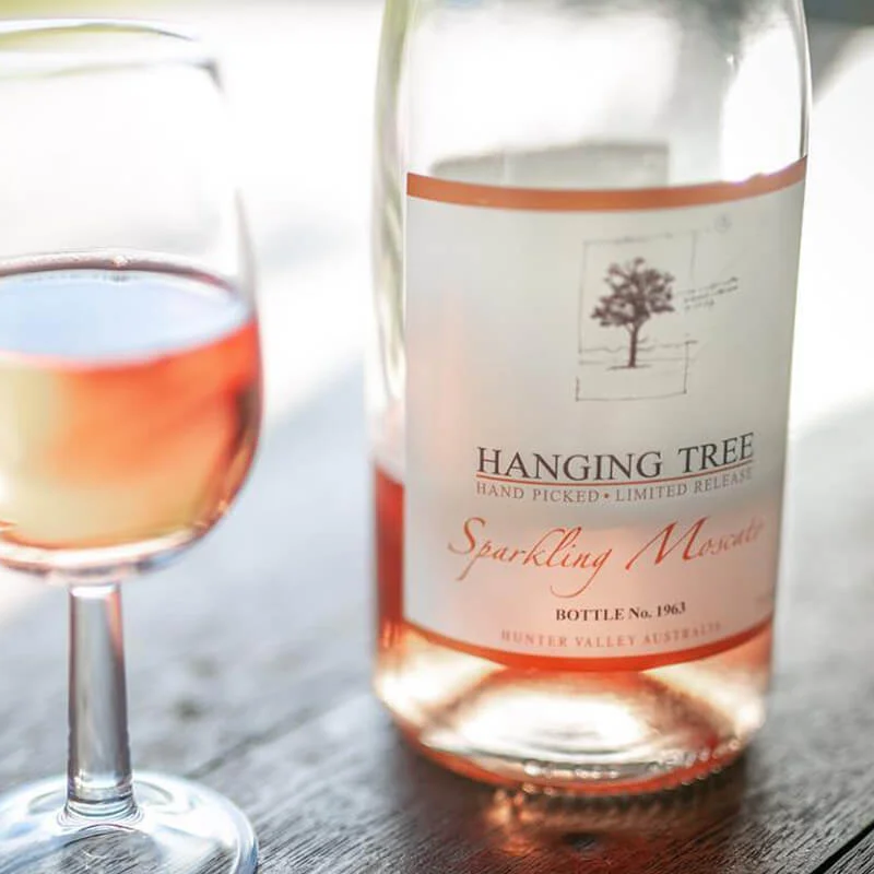 hanging-tree.jpg