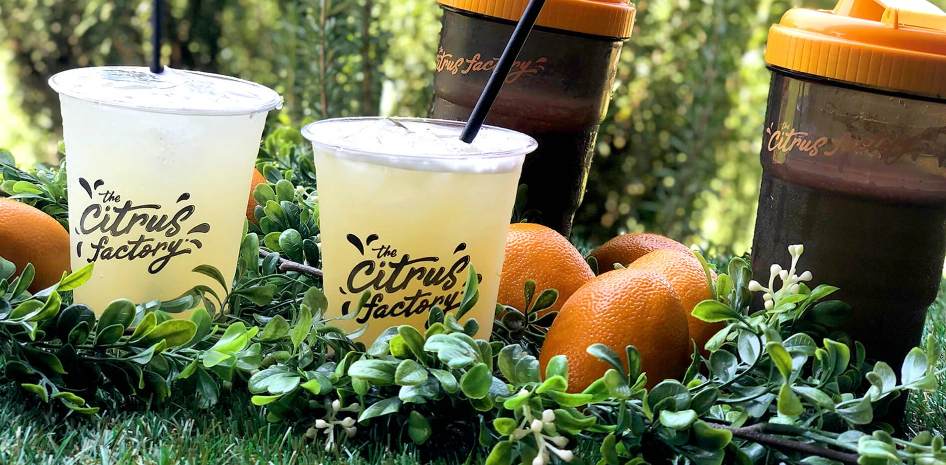 citrus factory.jpg