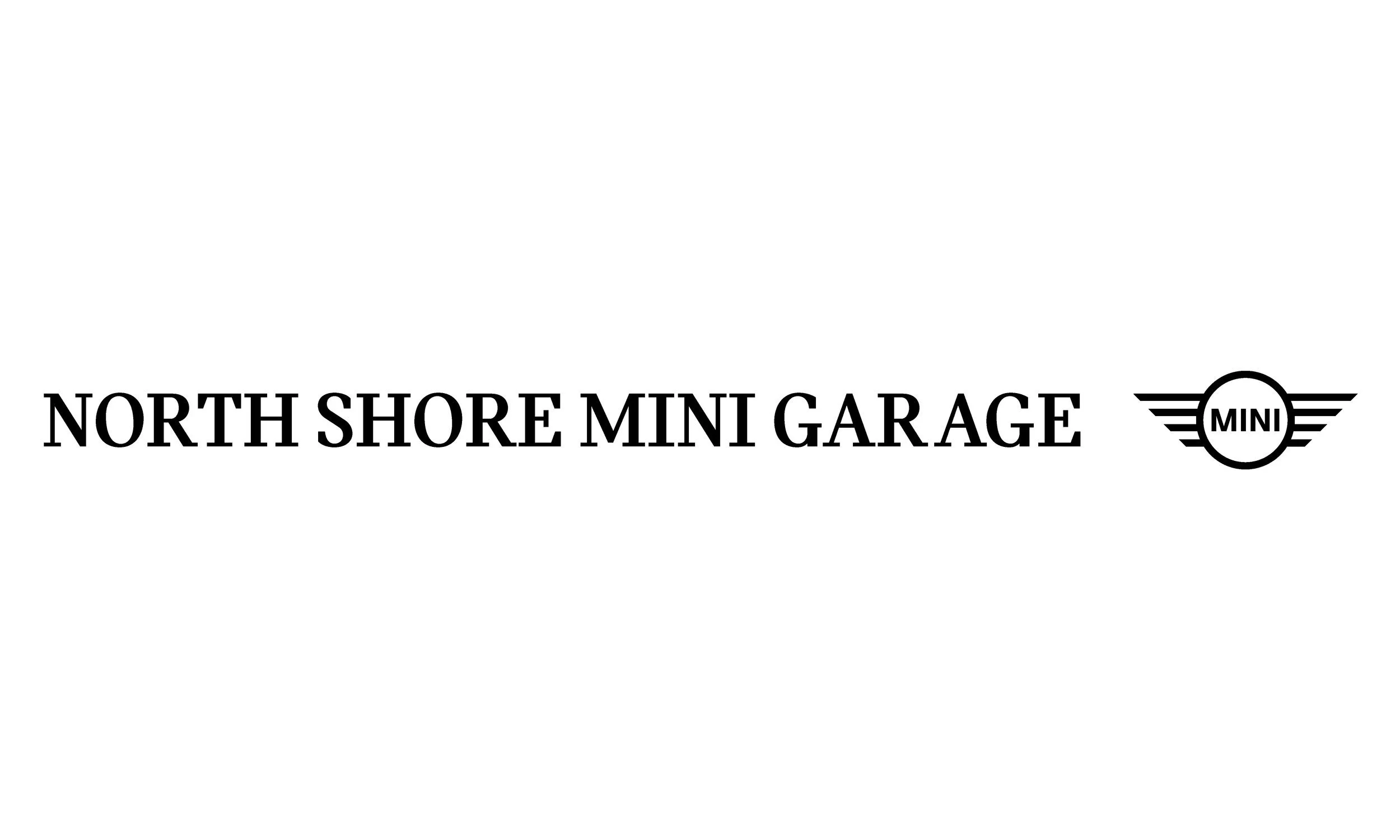 NS-MINI-Garage-logo.jpg