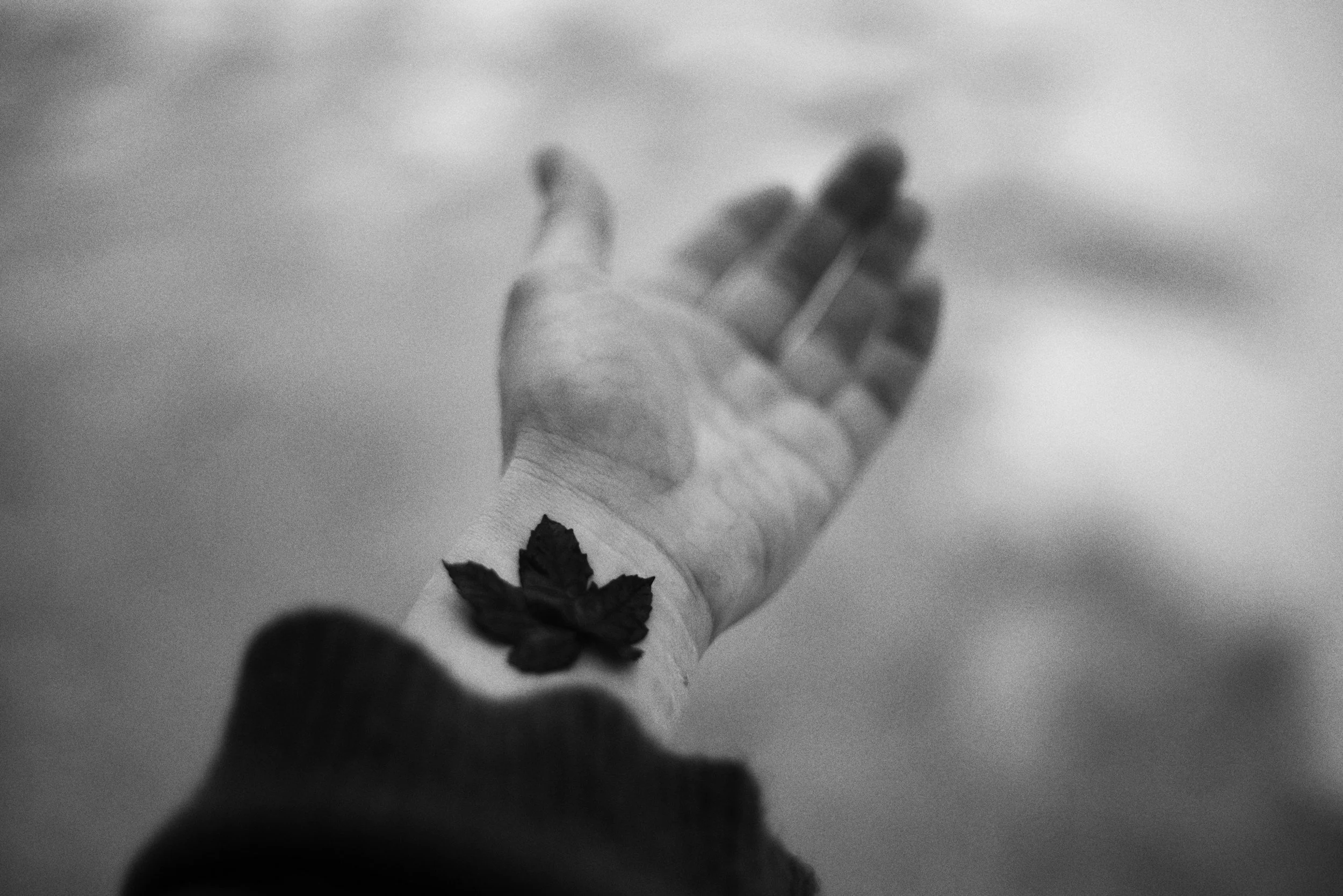 More than a Heartbeat: What your Pulse Reveals in TCM