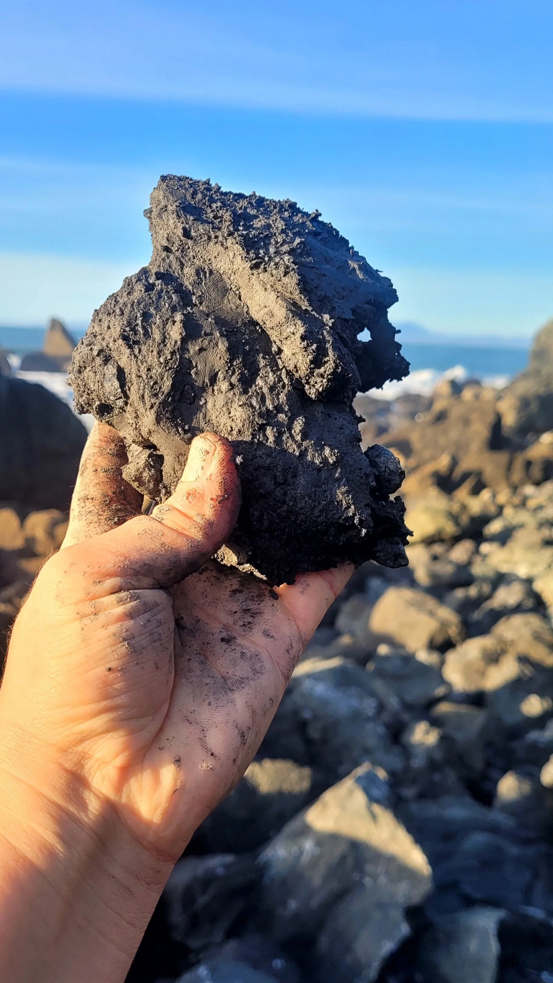 A person holding a large piece of black volcanic rock with the rocky coastline and ocean in the background.