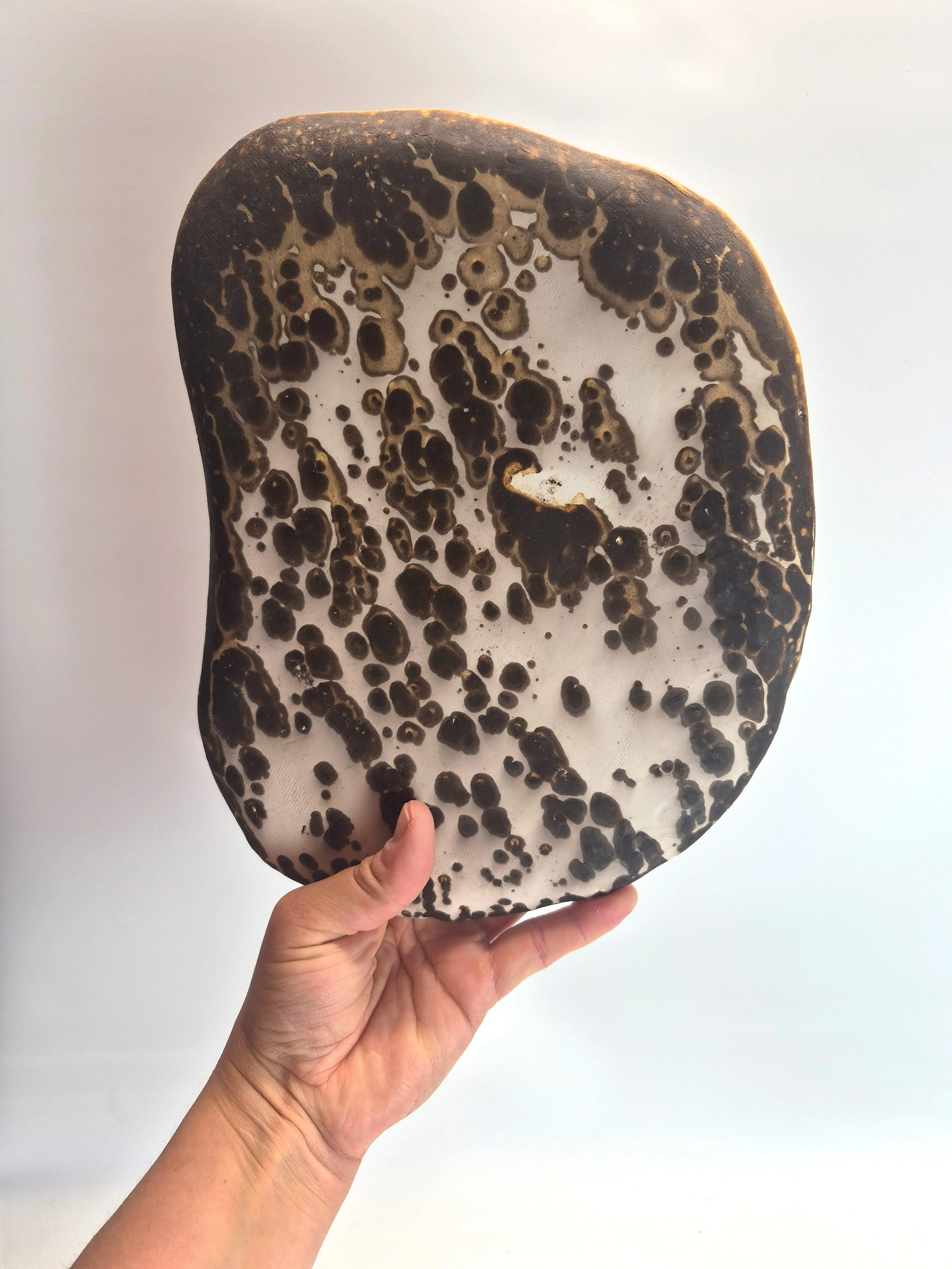 big_plate3.jpg