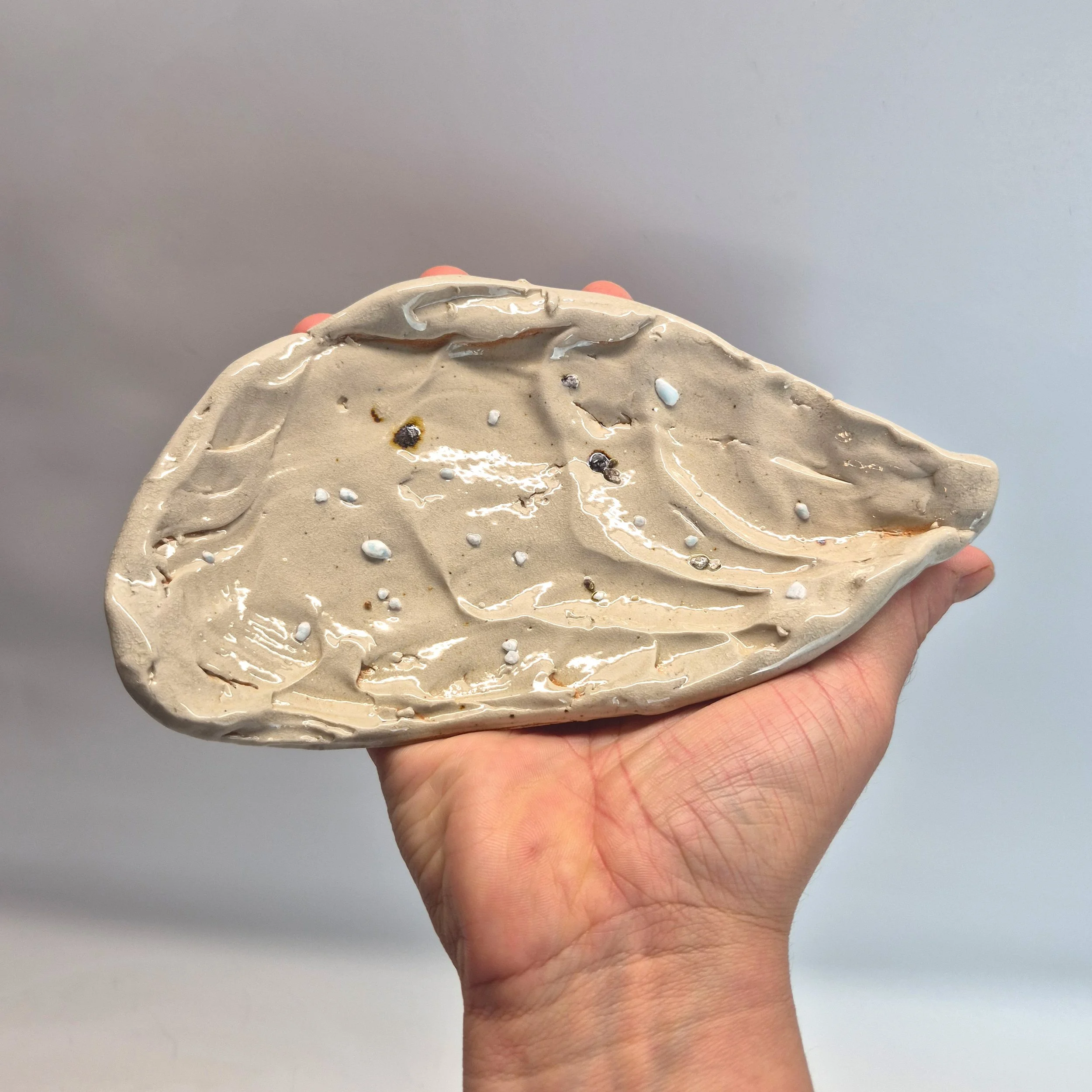 shell-3.jpg