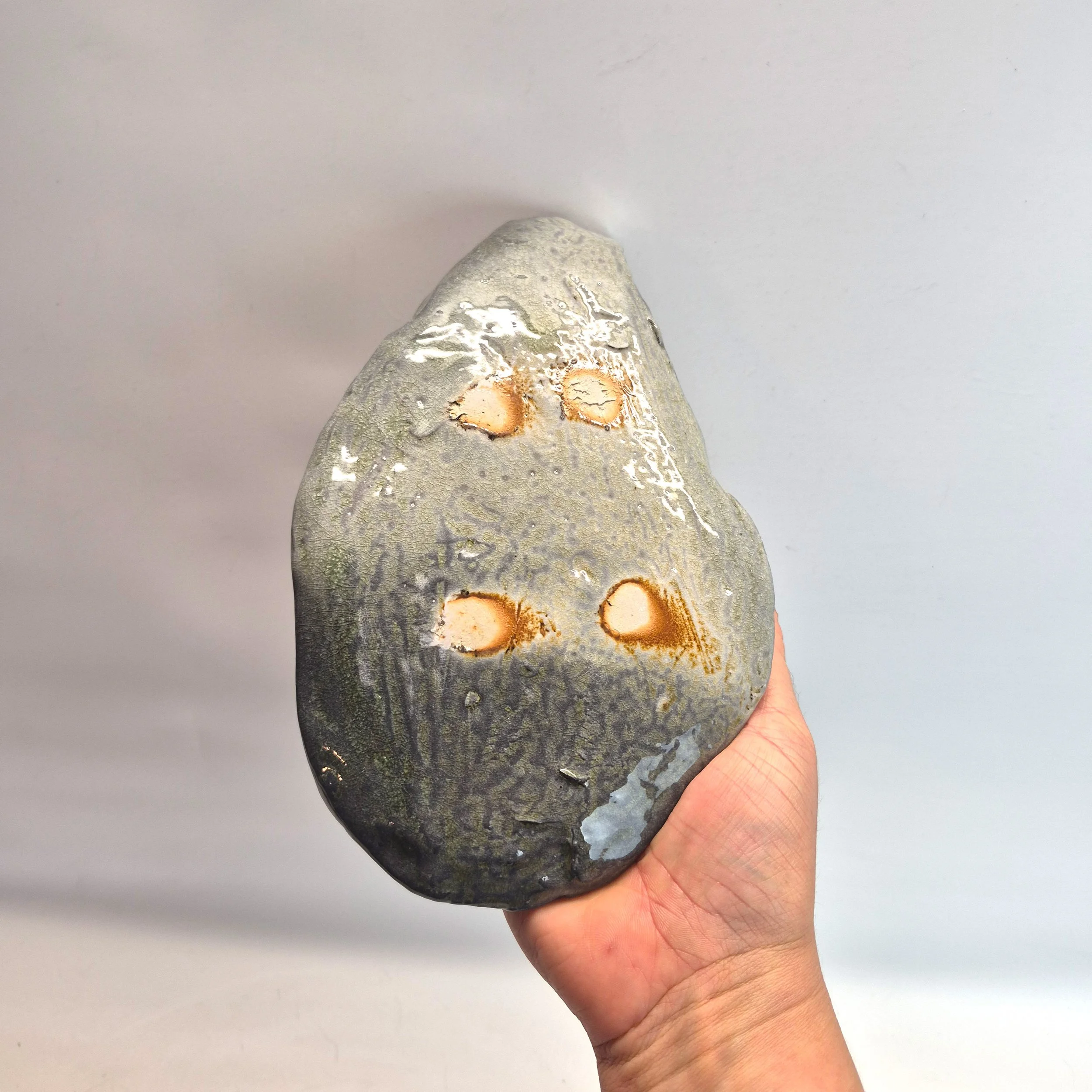 shell-2.jpg