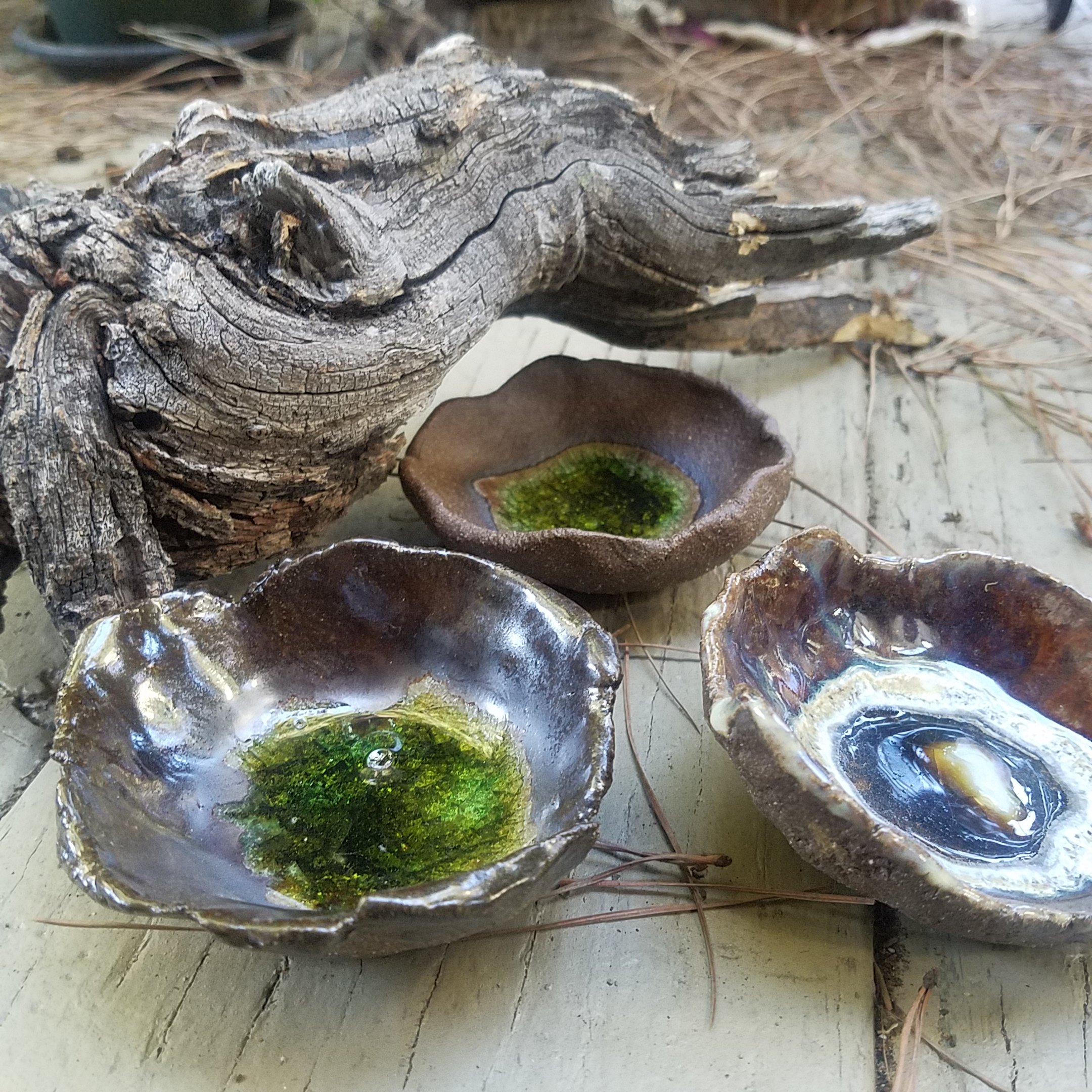 Three shells with green and white deposits, next to a piece of driftwood on a wooden surface.