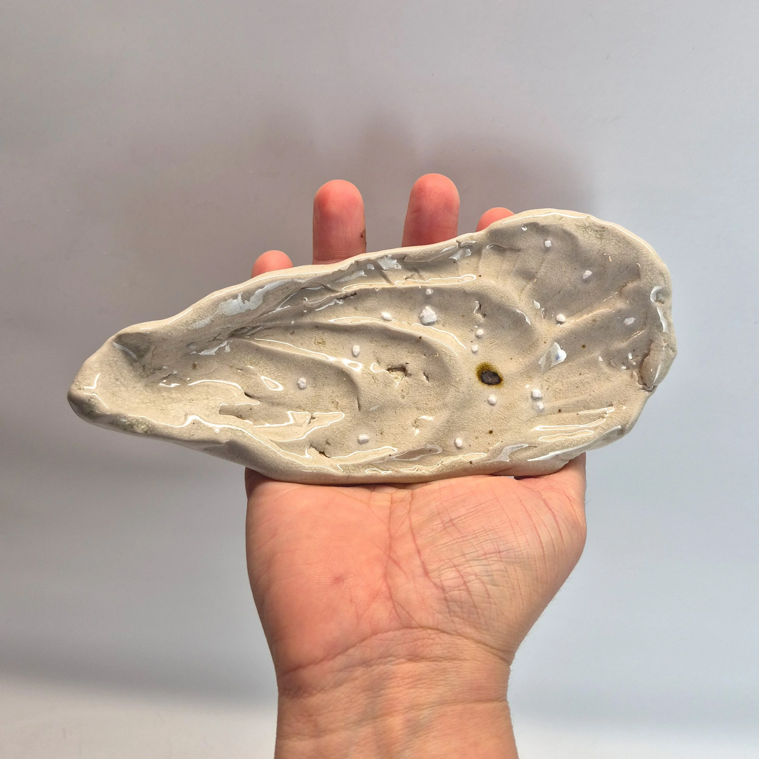 shell-5.jpg