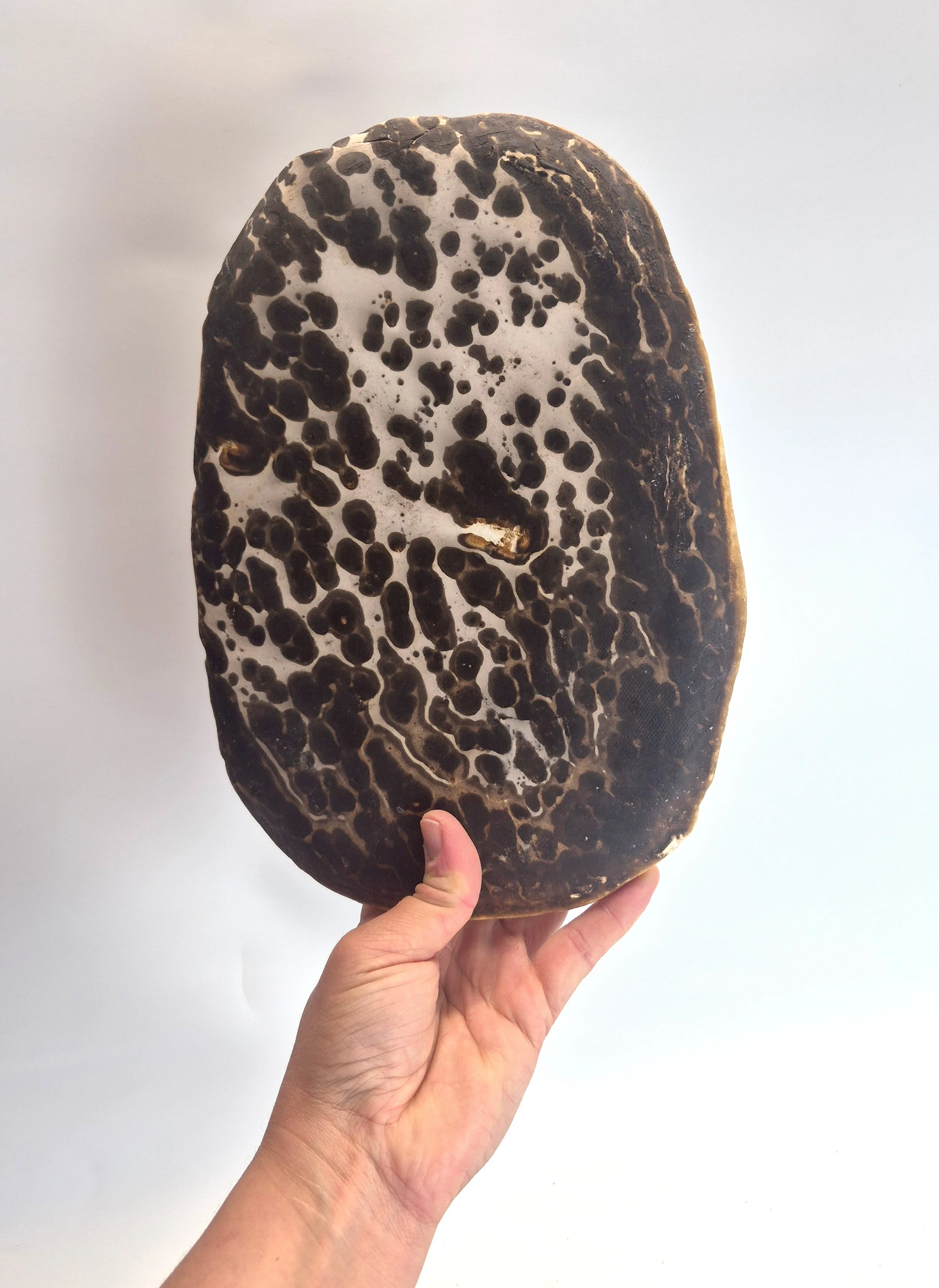 big_plate1.jpg