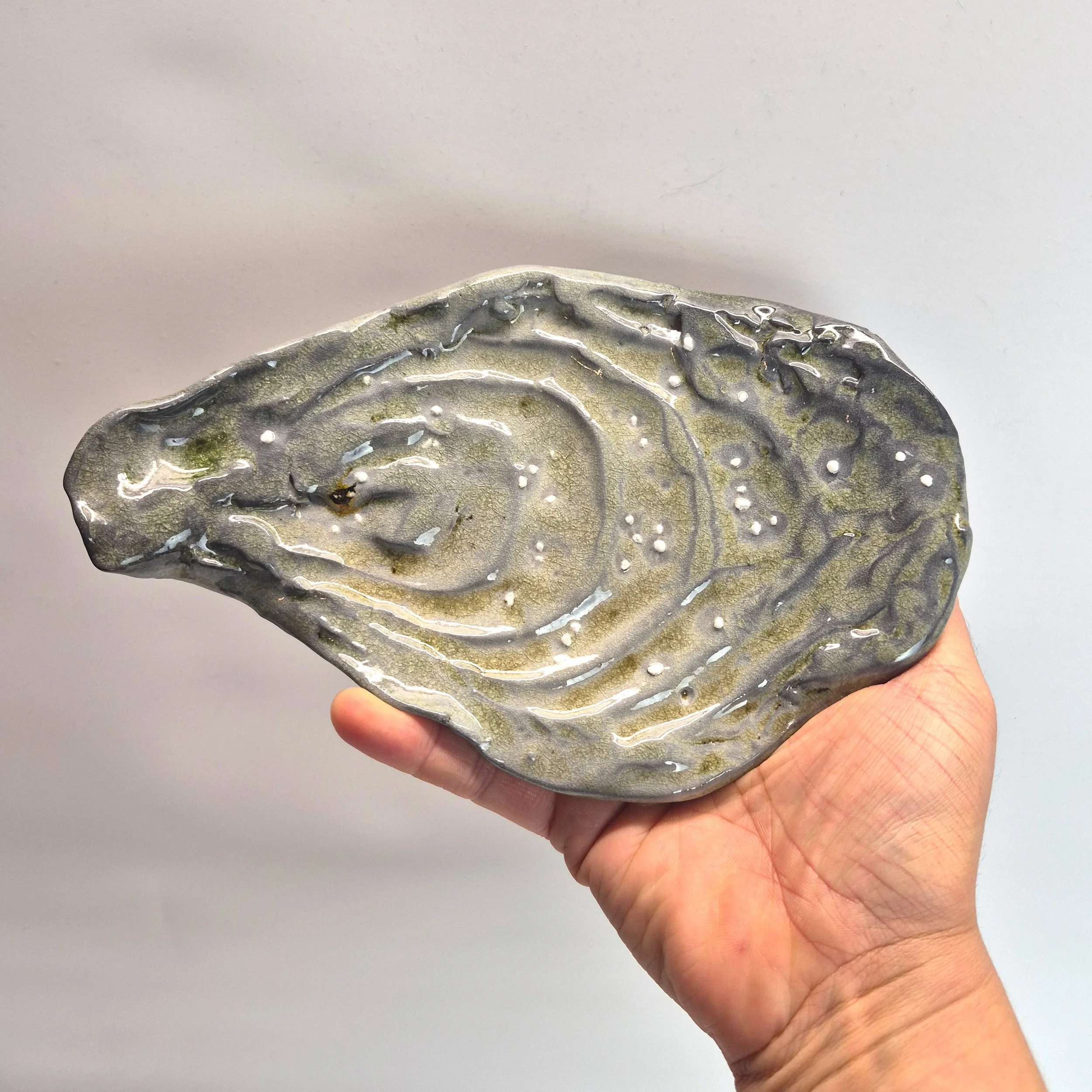 shell-1.jpg