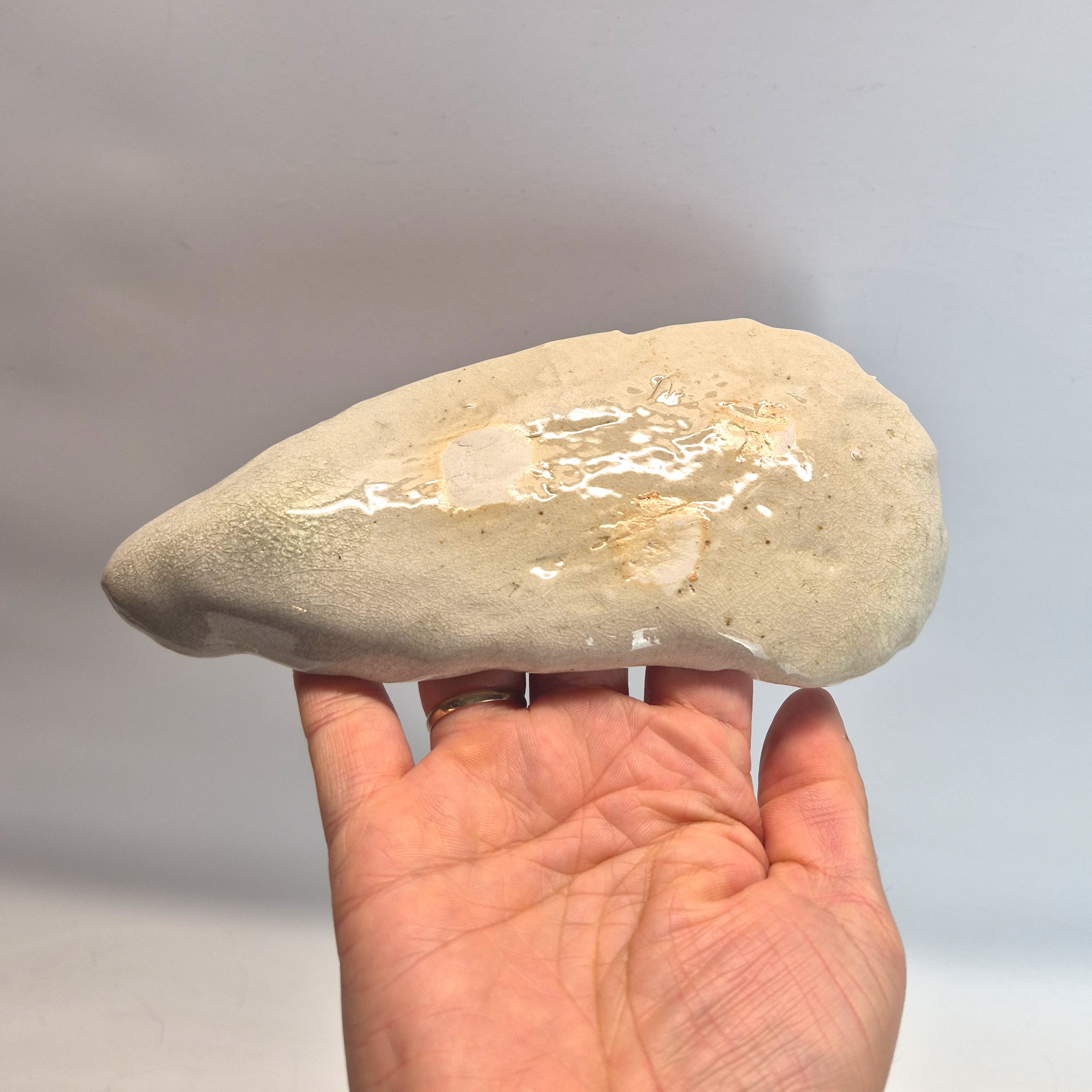 shell-6.jpg
