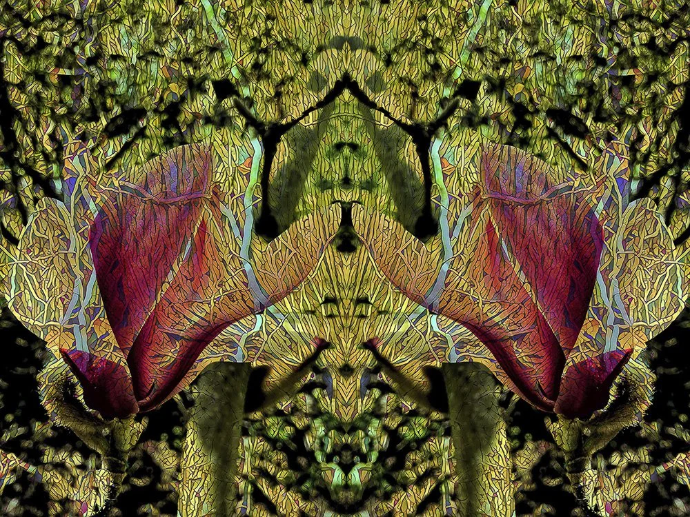 Shaman by Michael Endicott