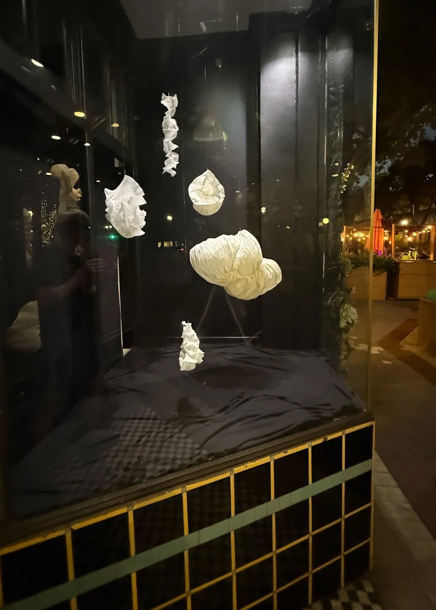 champagne dreams-2.JPG