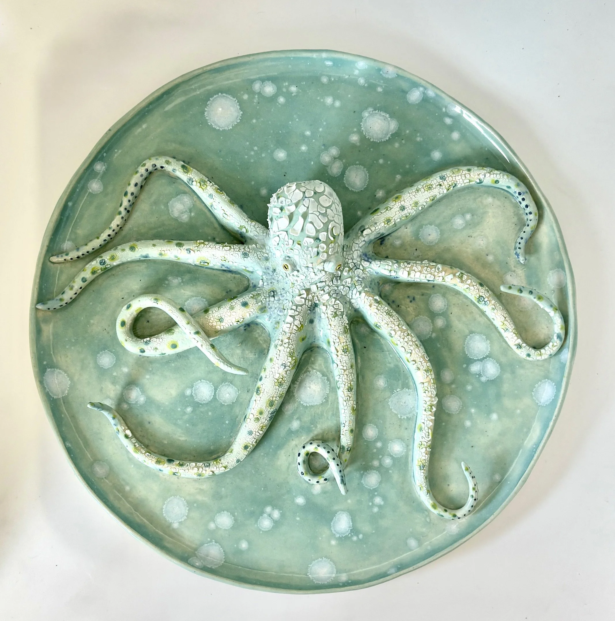 Octopus Dreams by Mimi Chung