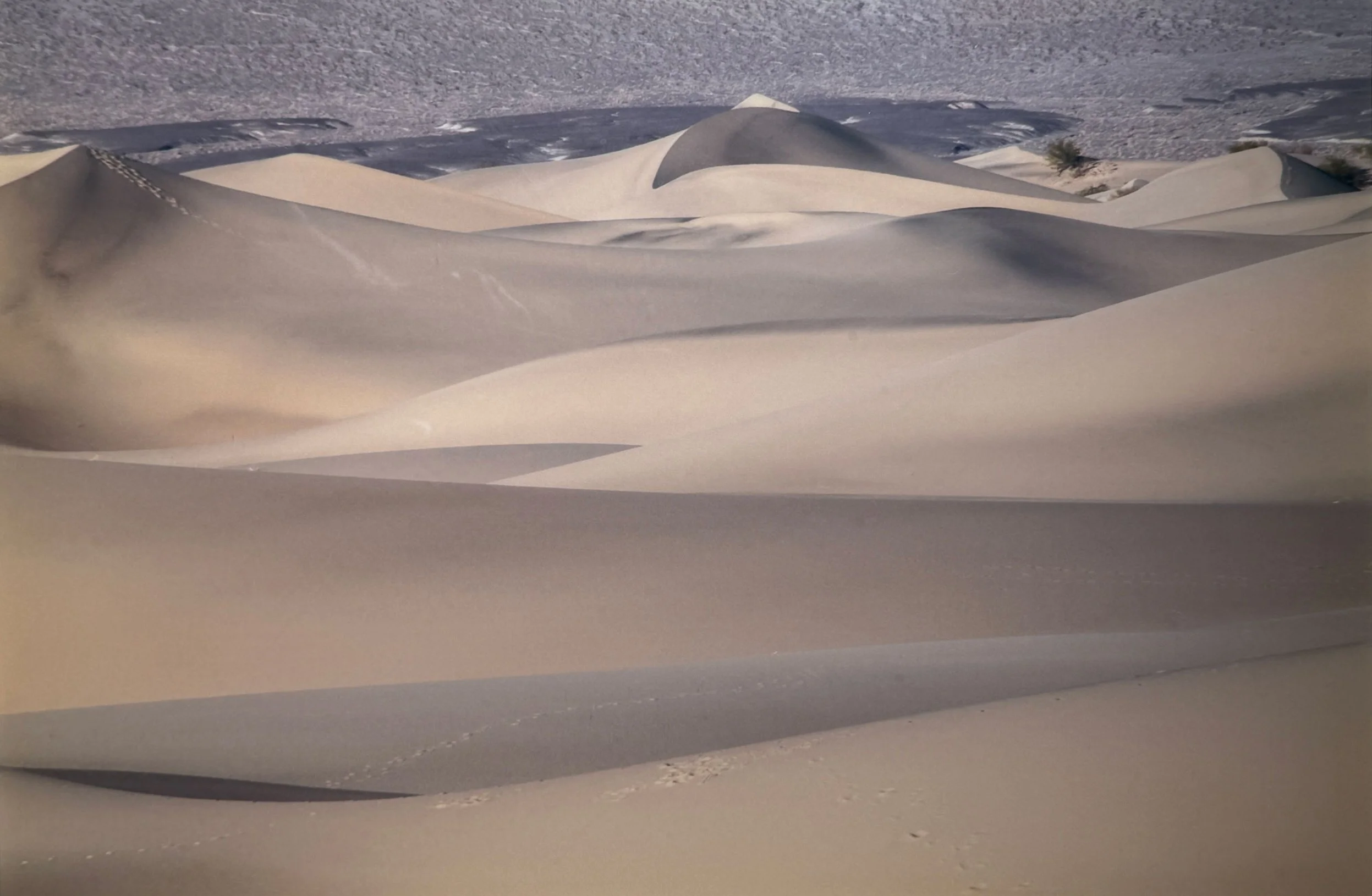 Sand Dune in Death Valley by Ann Baldwin
