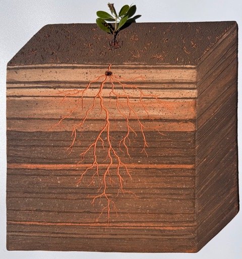 Smoldering by Camila Buitrago