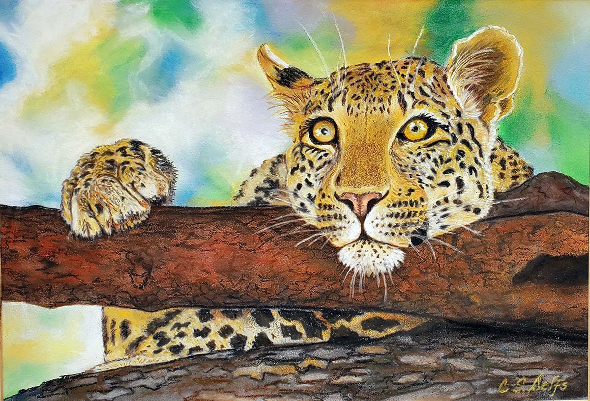 Do You See What I See? by Catherine Delfs