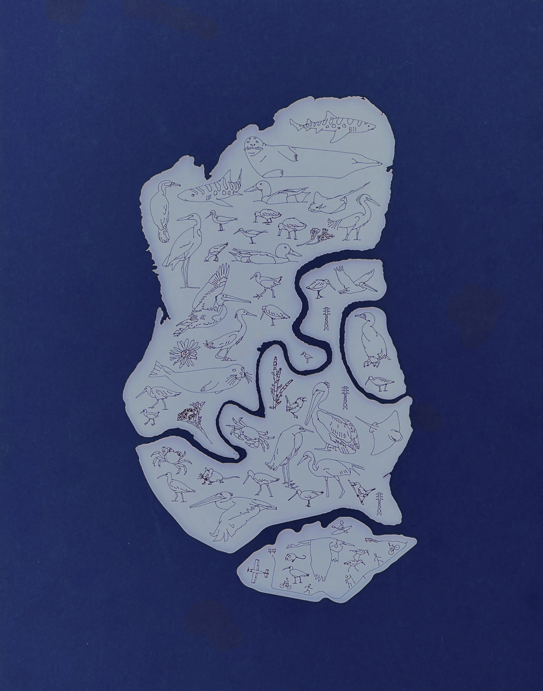 Bair Island by Jacob	Creedon