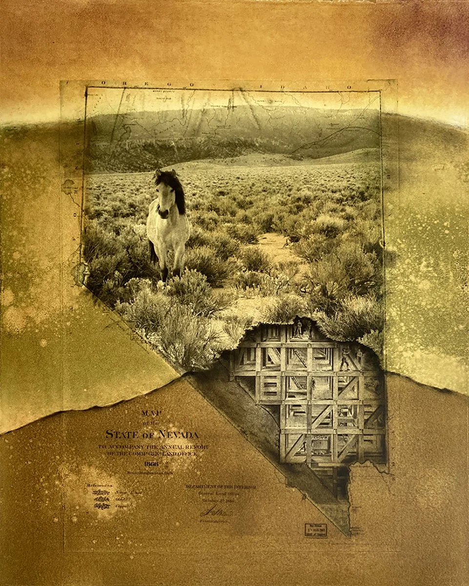 Nevada by Robin McCloskey