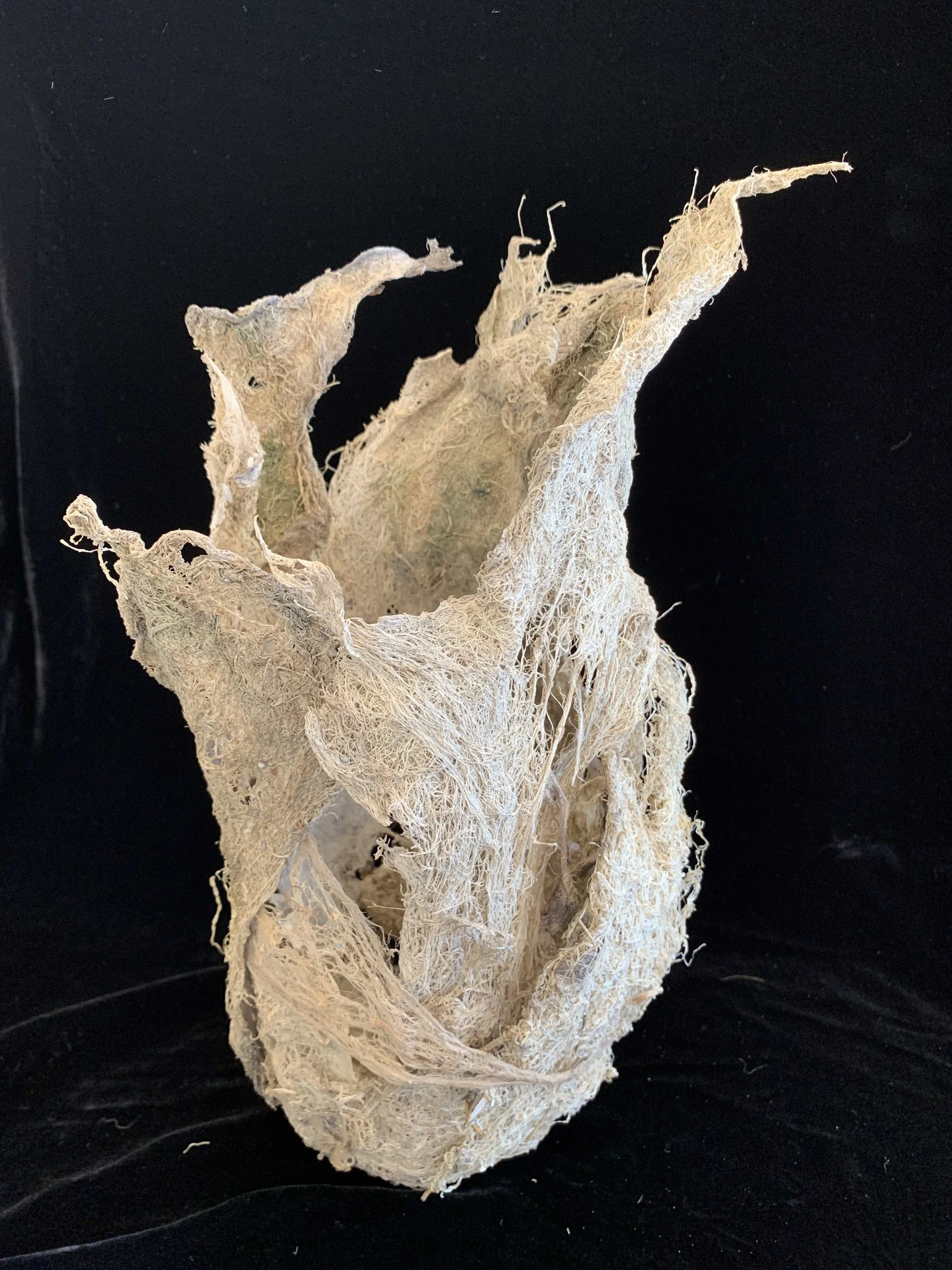 Art Window Conklin IMG_8599.jpg