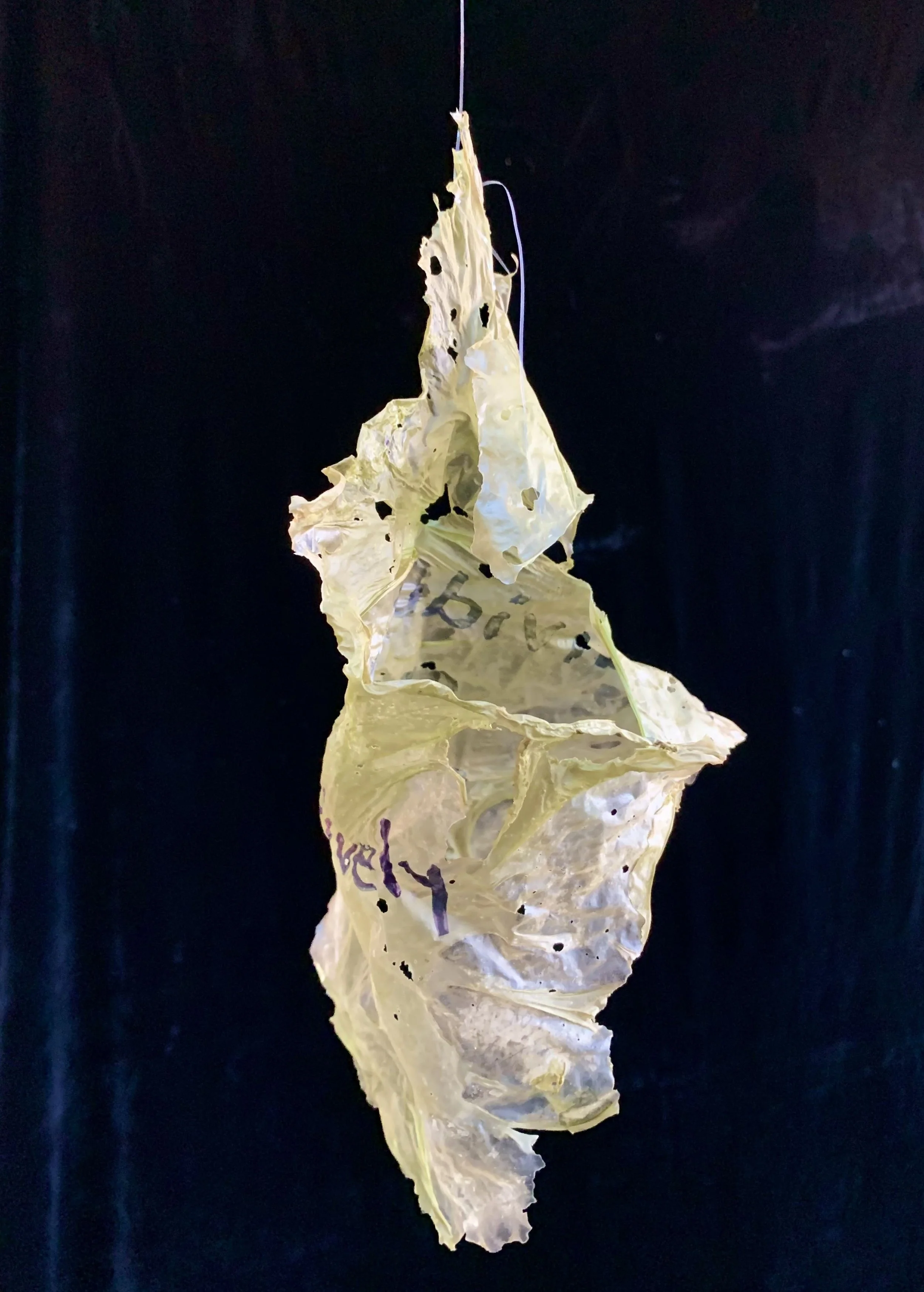 Art Window Conklin IMG_8624 2.jpg