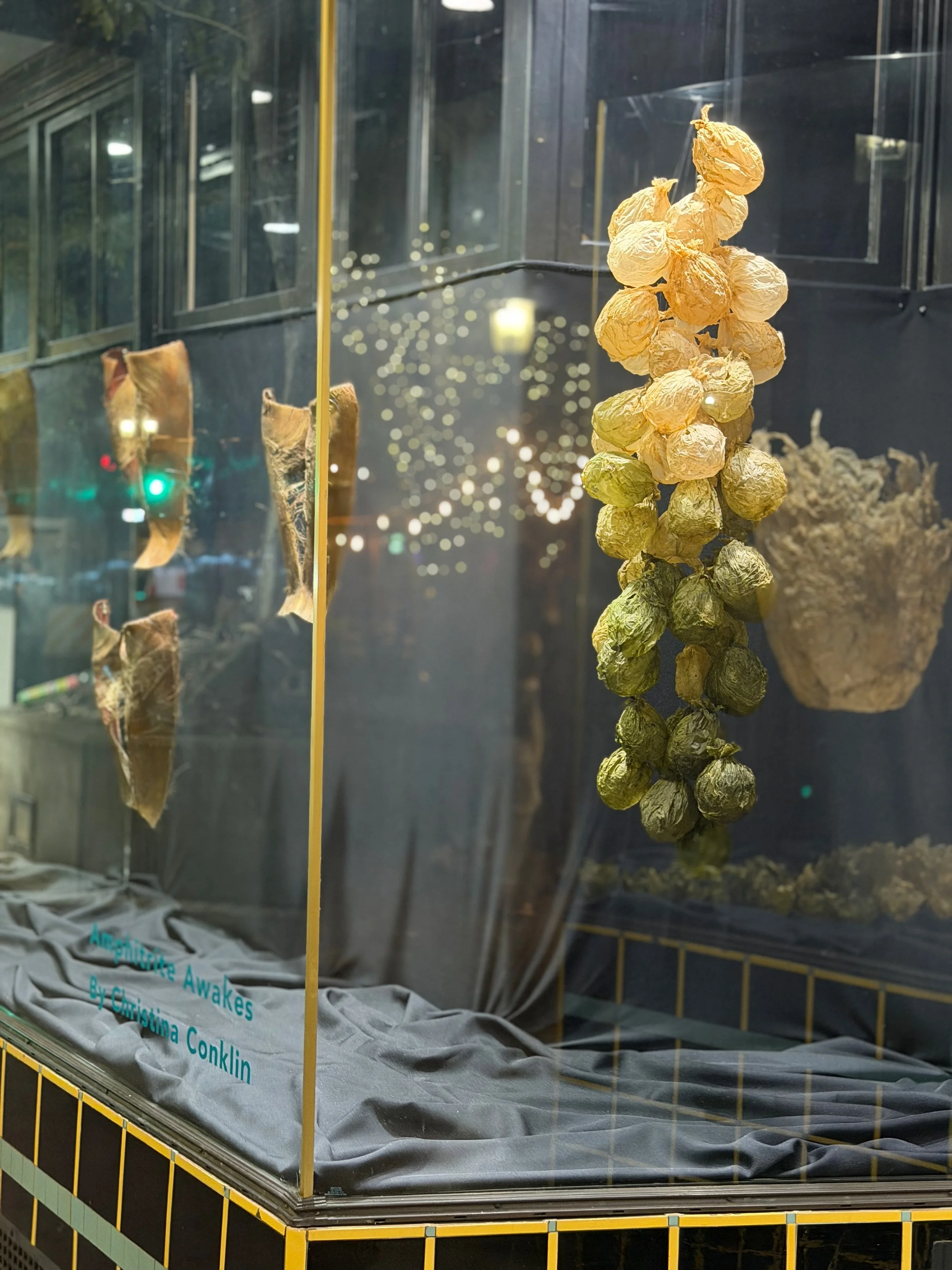 CfC Opening 260306 IMG_2650_Marla Olsen.jpeg