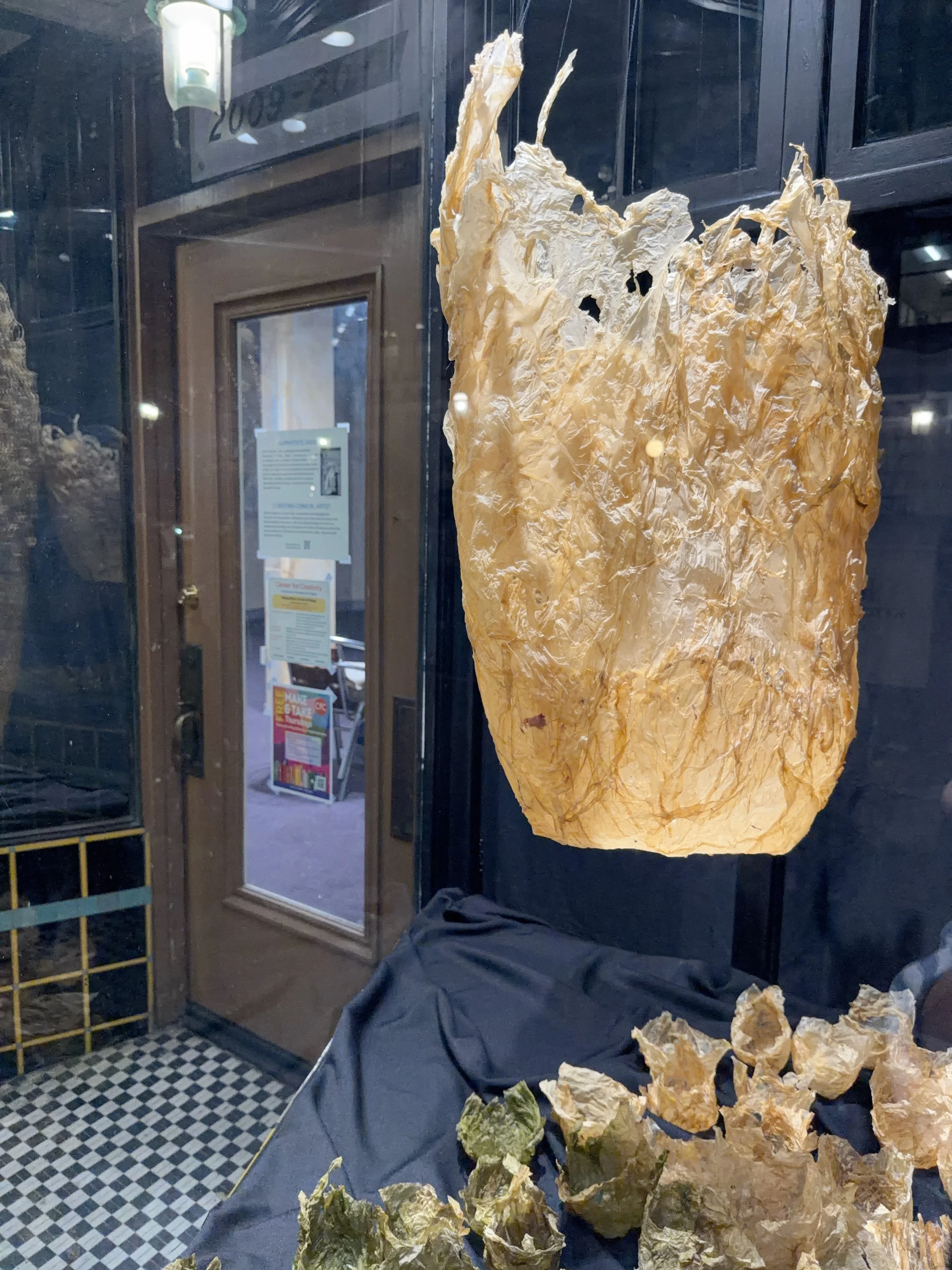 CfC Opening 260306 IMG_2655_Marla Olsen.jpeg