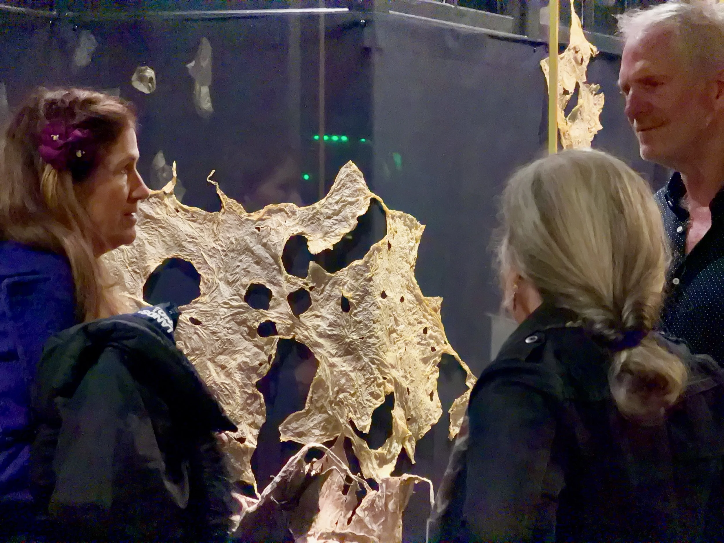 CfC Opening 260306 IMG_2671_Marla Olsen.jpeg