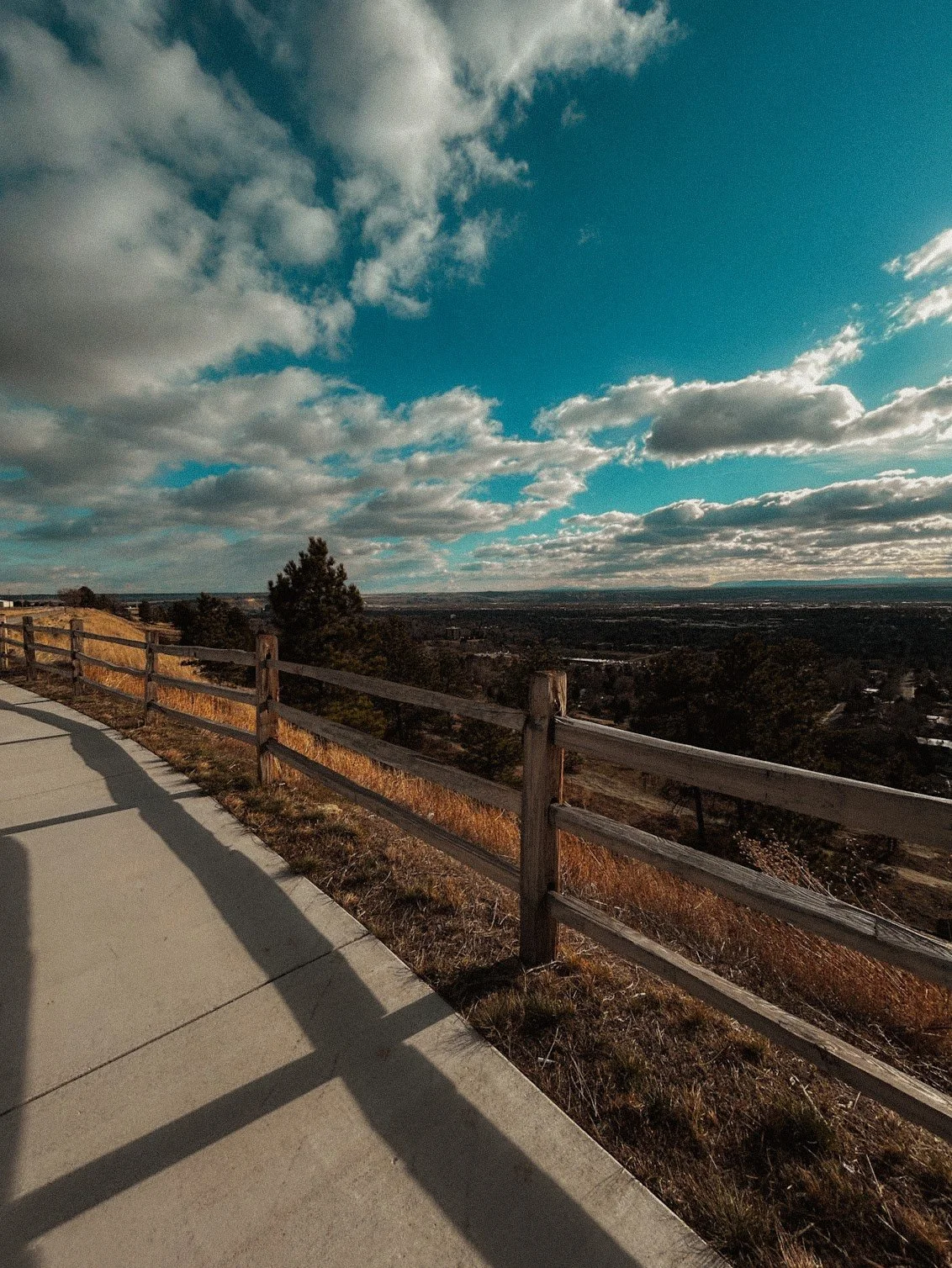 nervous system regulation: just trendy or truly beneficial?