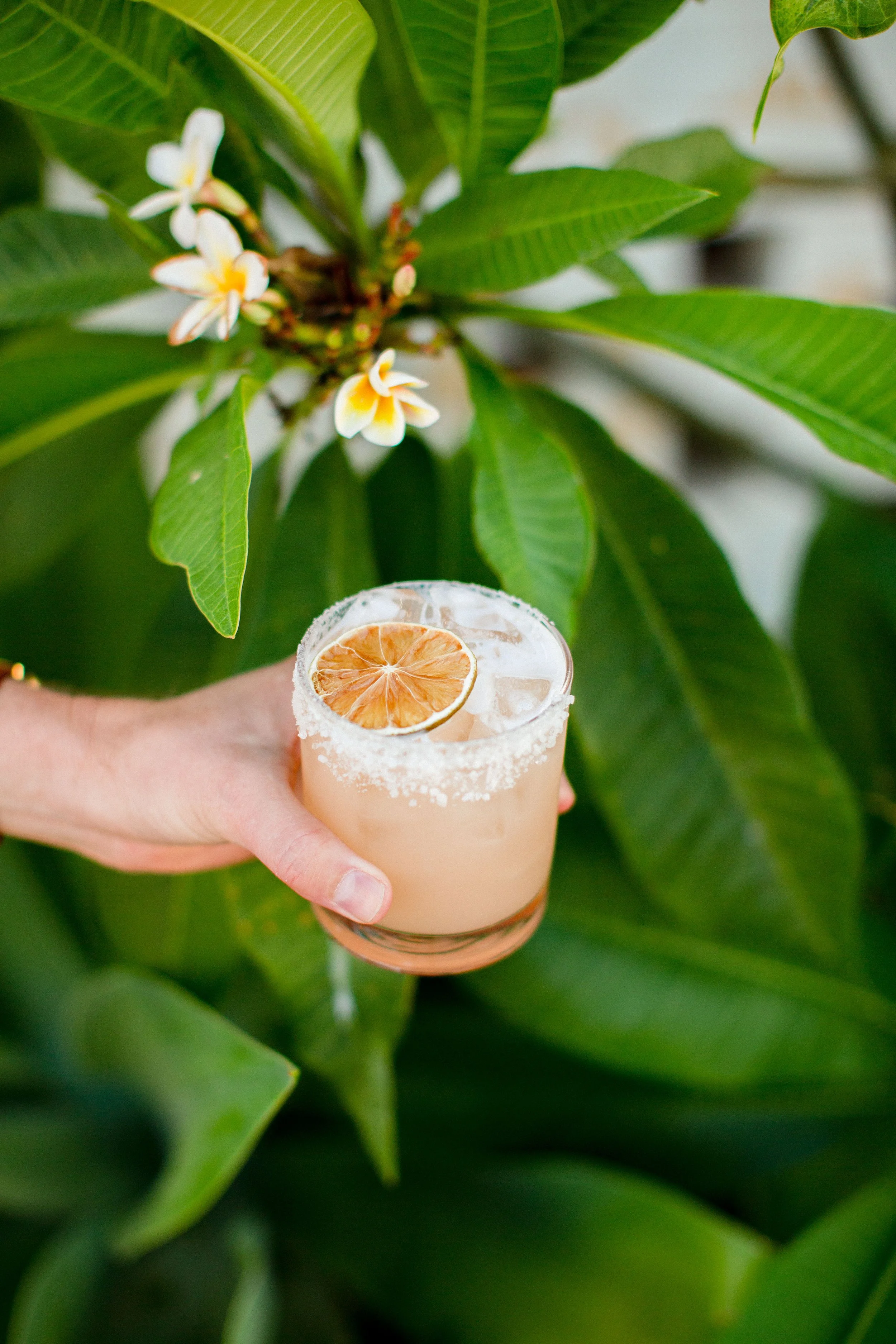 Bonsai Quickies-10.JPG