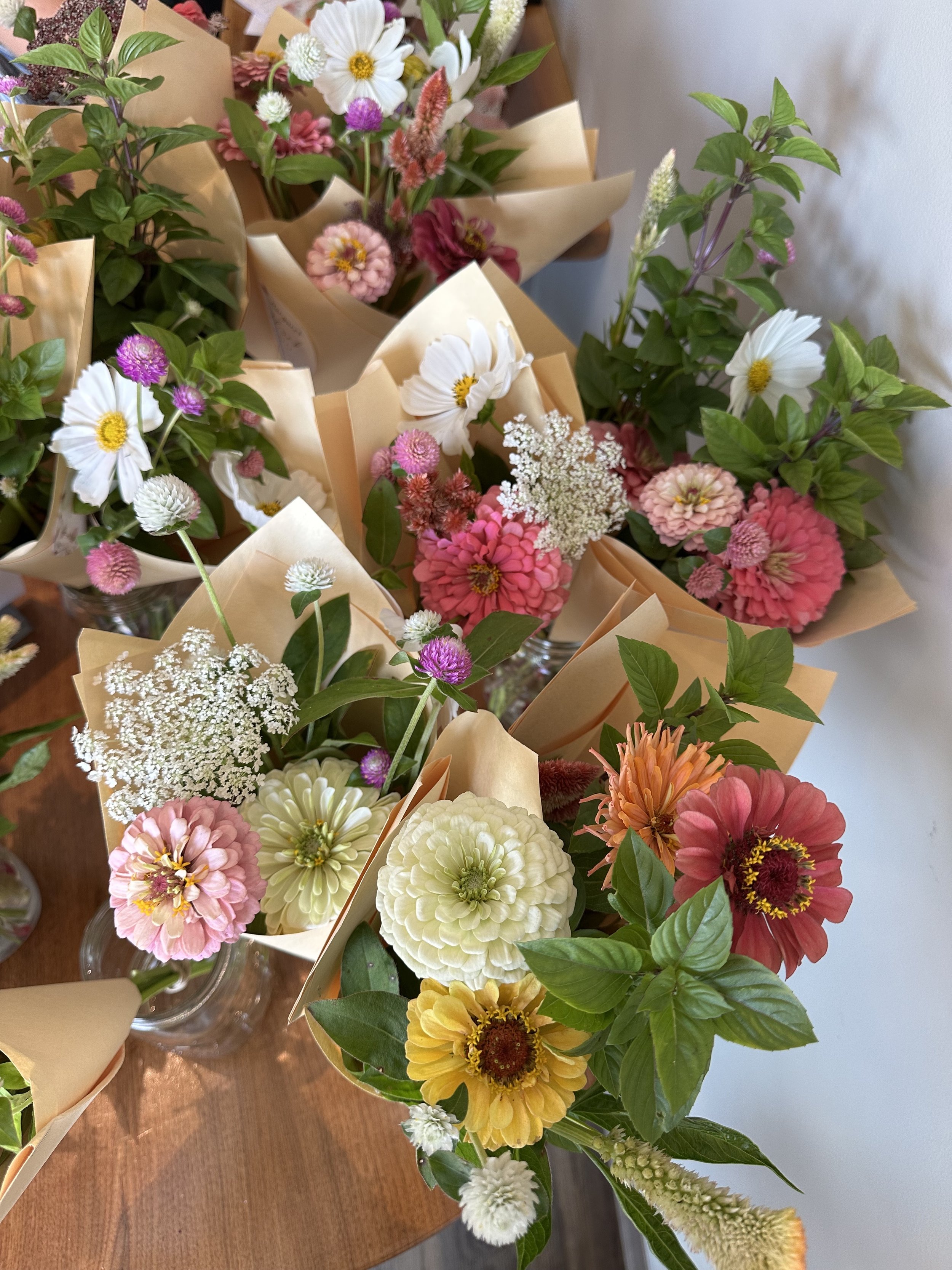IMG_8855.jpeg