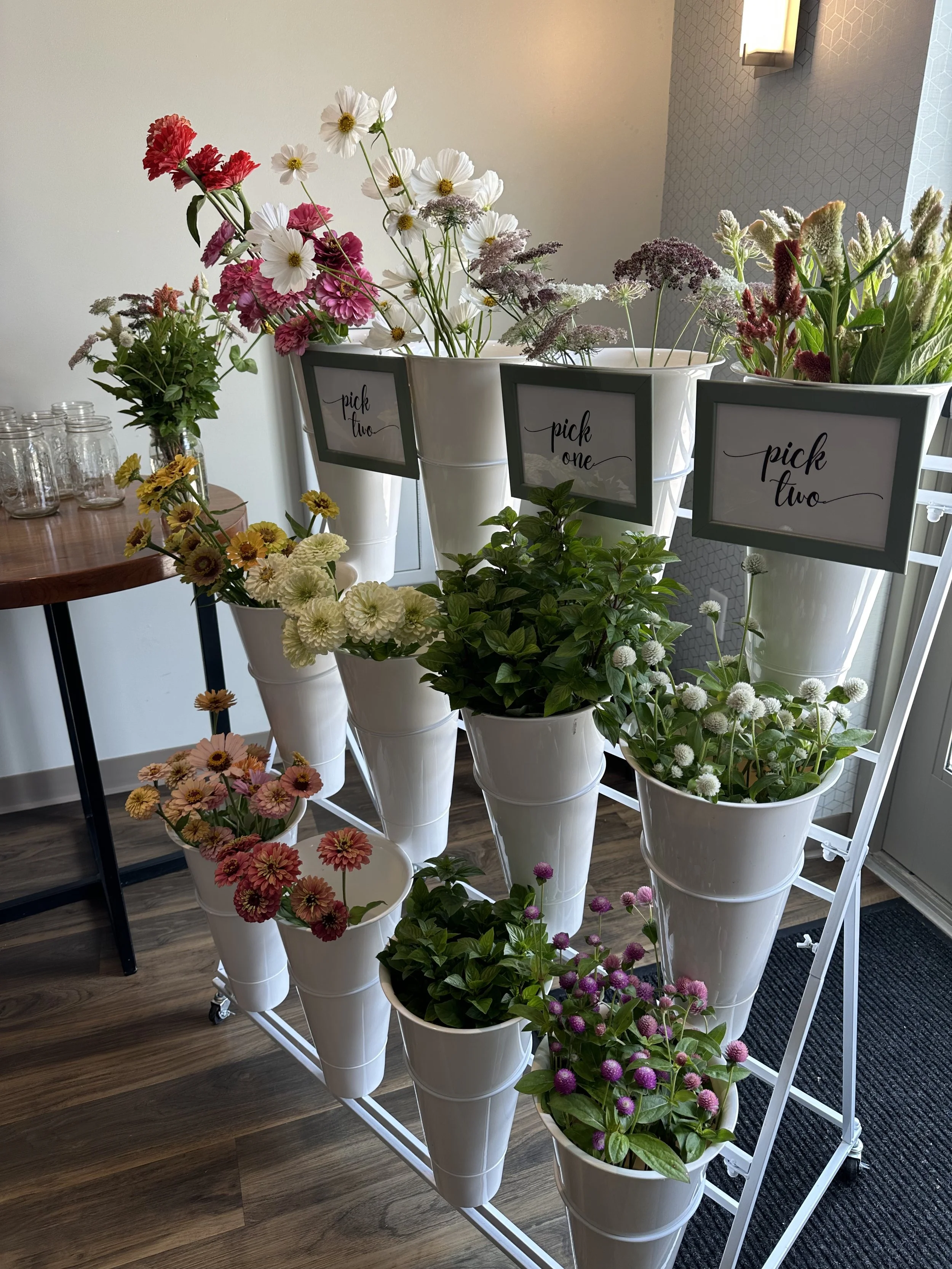 Bloom Bar 1.jpg