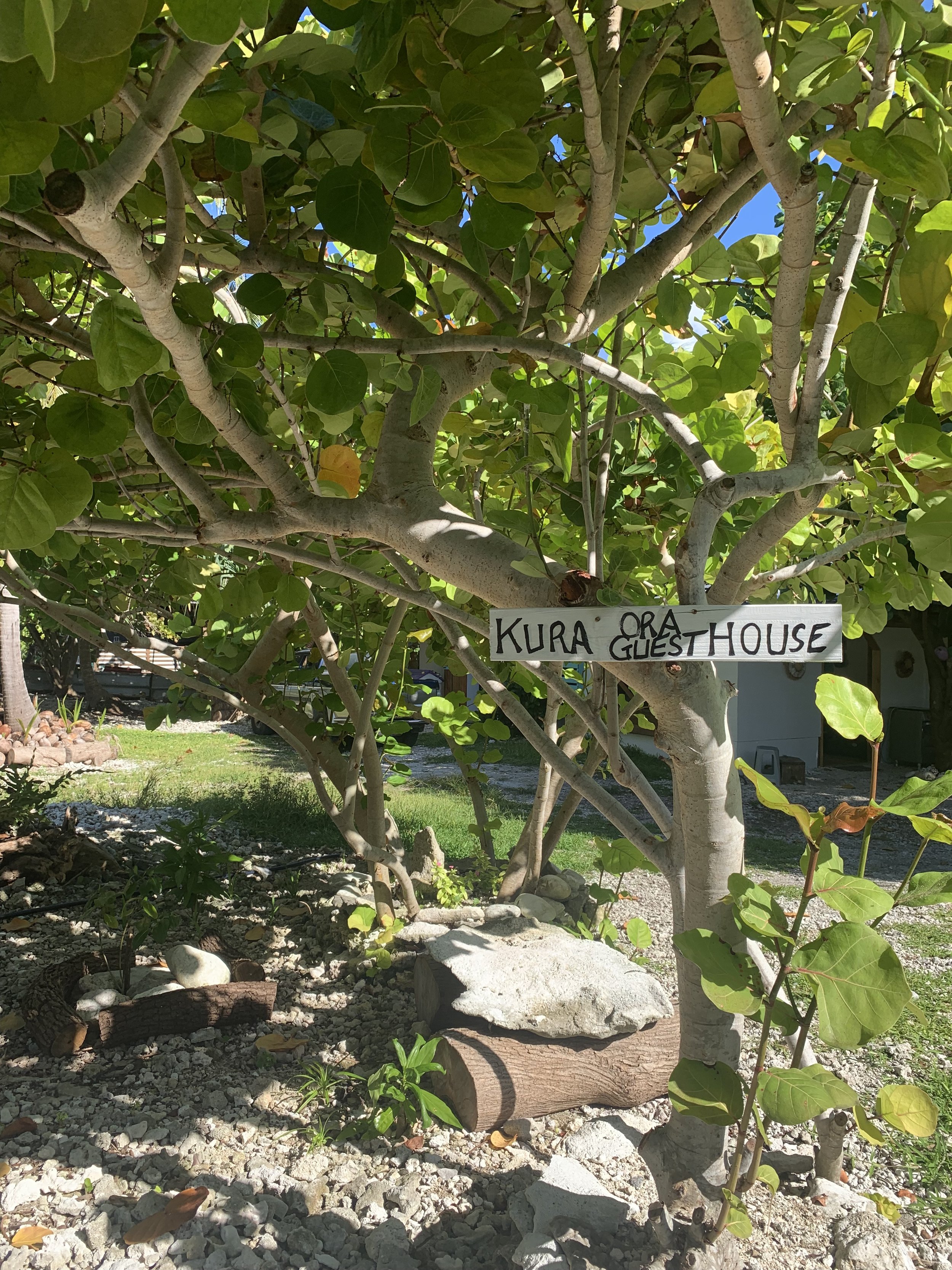 KURA ORA GUEST HOUSE garden entry