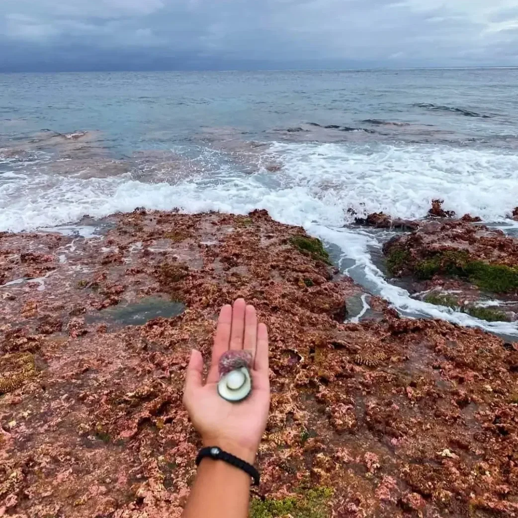 Découverte de coquillages sur le récif de la passe de Tiputa à Rangiroa