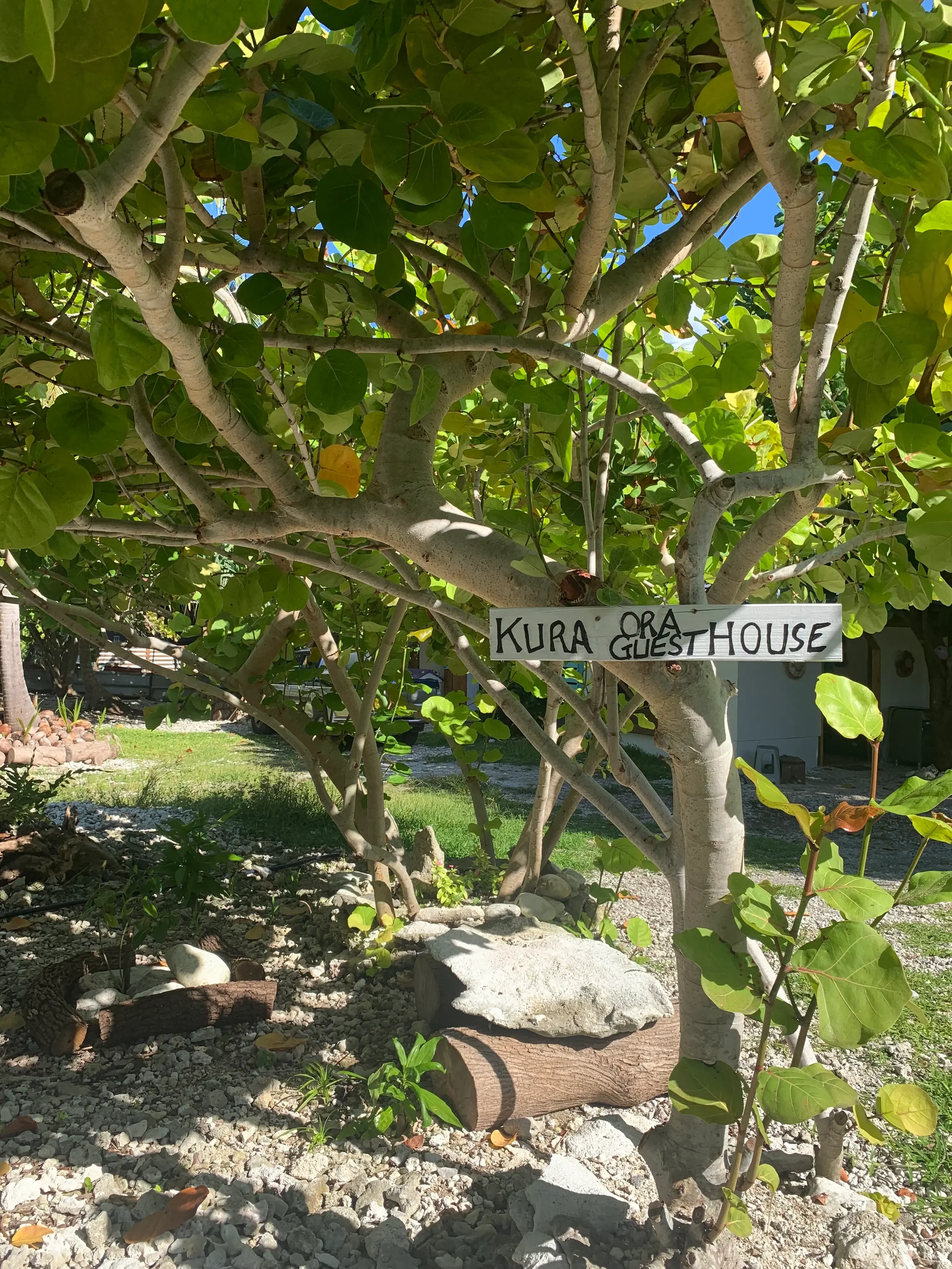 Jardin tropical de Kura Ora Guest House à Rangiroa en Polynésie française