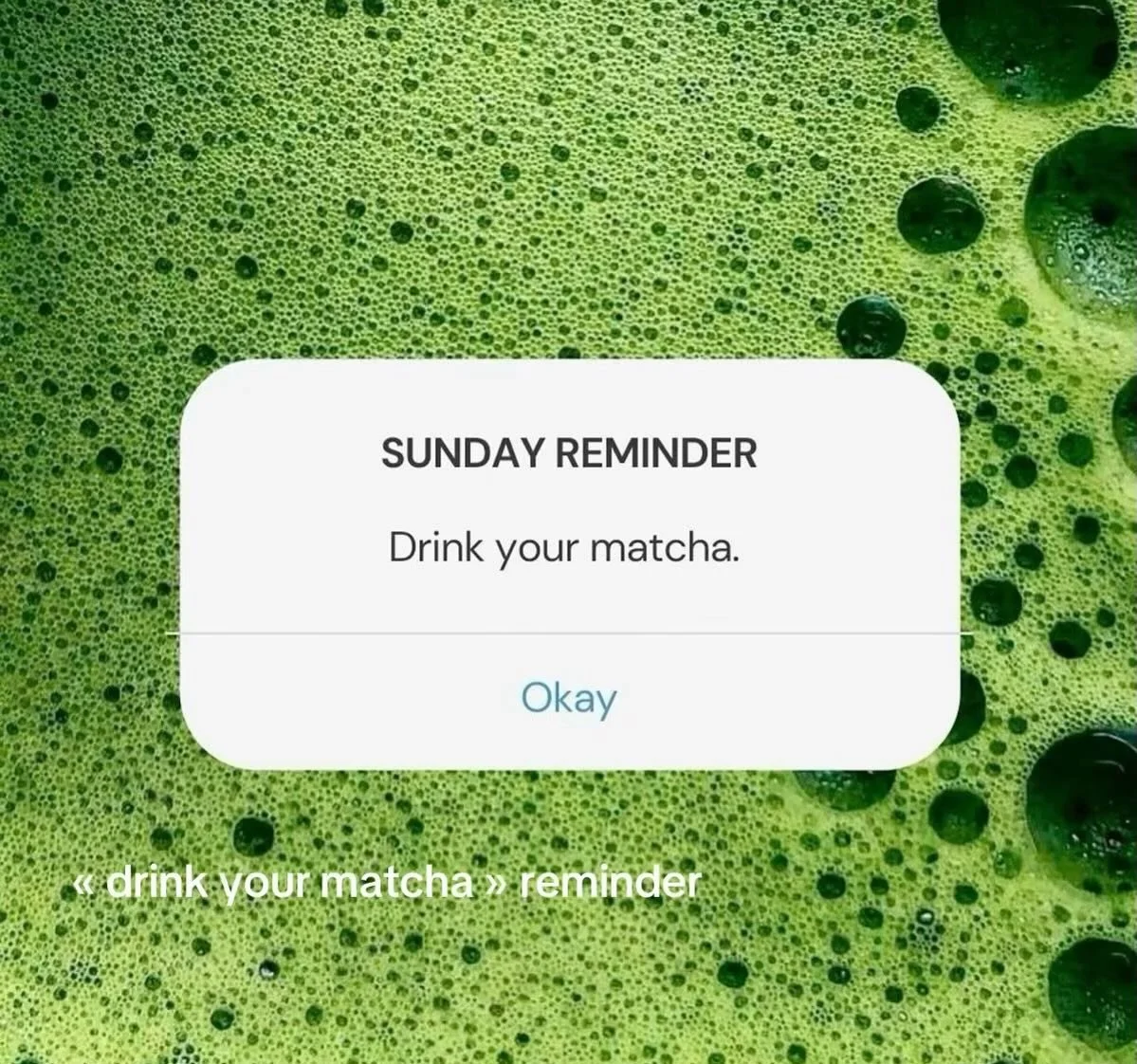 Your reminder to drink your matcha!! 

#matcha #homecafe #matchatrend #smallbusiness #supportsmallbusiness