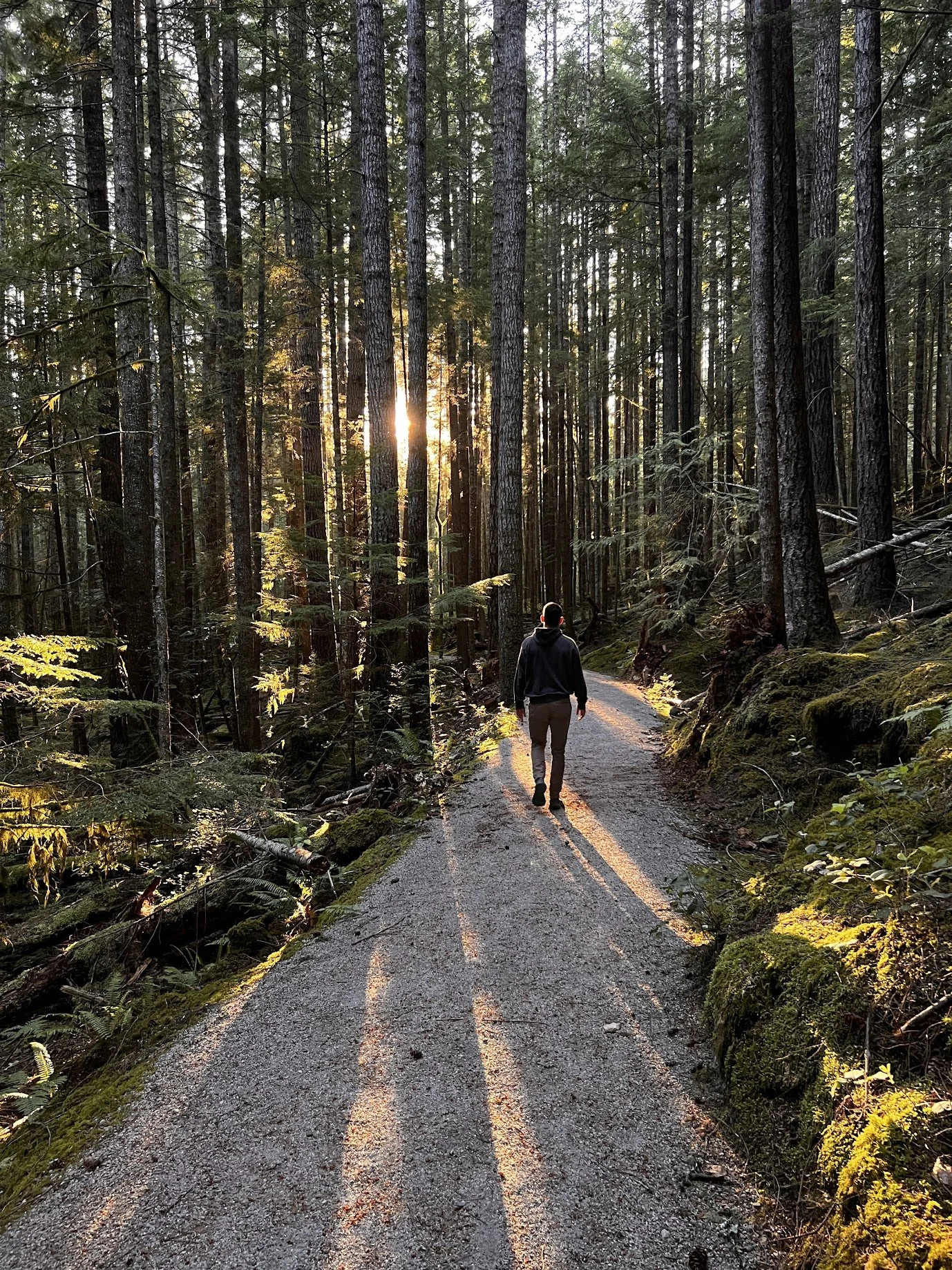 Catch Me Outside, How About Dat (Yes, For Therapy)