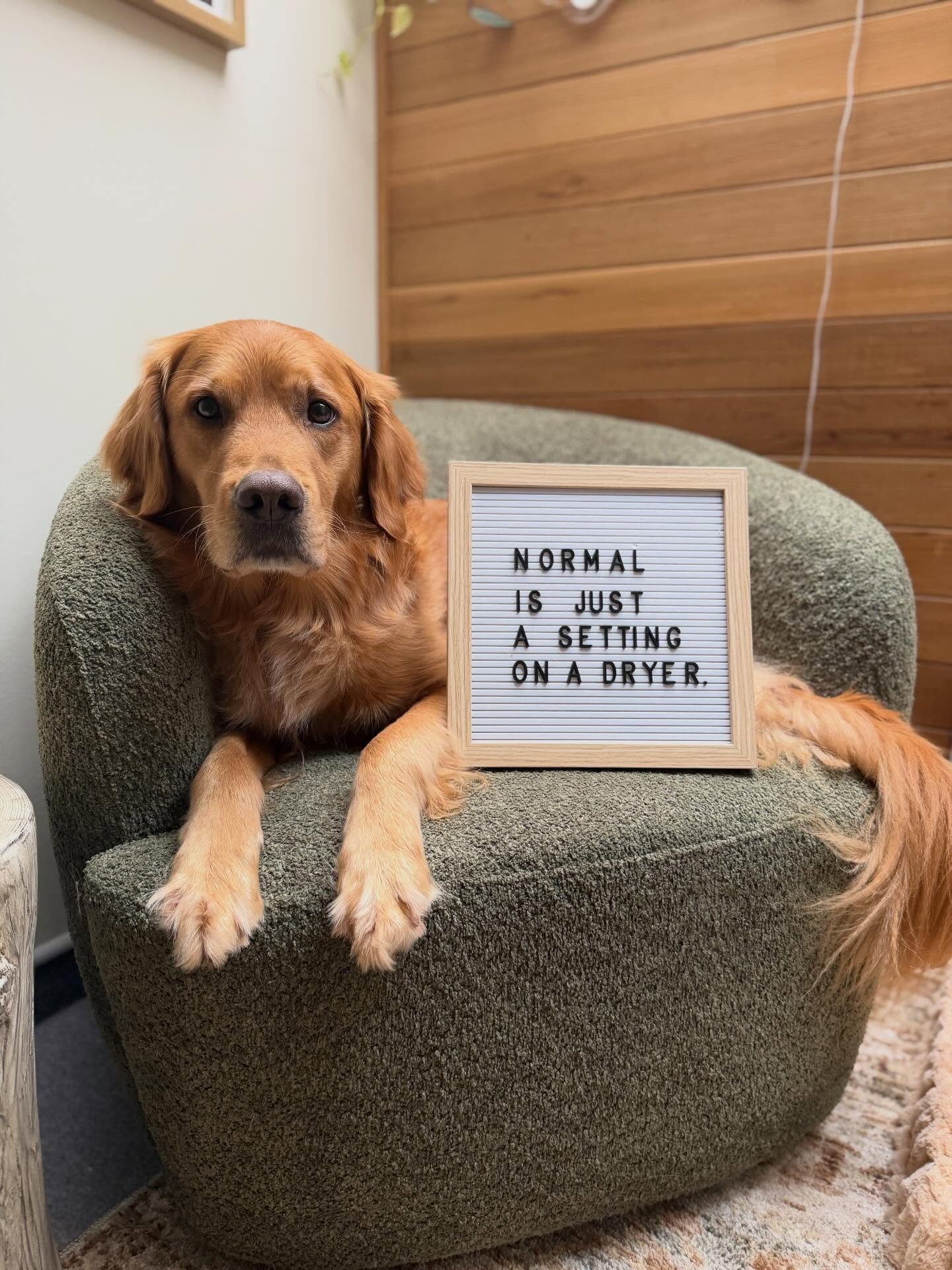 Normal is just a dryer setting.
In therapy, I rarely meet &ldquo;normal&rdquo; people.
I meet brave people.
Tired people.
People carrying more than they let on.
People trying.
People learning themselves.

Because honestly&hellip; what even is this &l