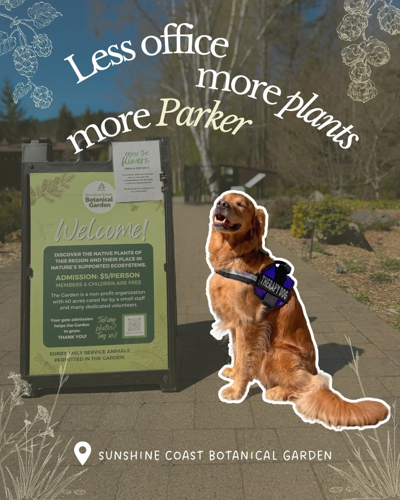 Some of the most meaningful parts of my work depend on the generosity of shared spaces.

Therapy dogs don&rsquo;t have the same automatic access rights as service dogs, and they shouldn&rsquo;t.

Access is always up to each individual space, which is