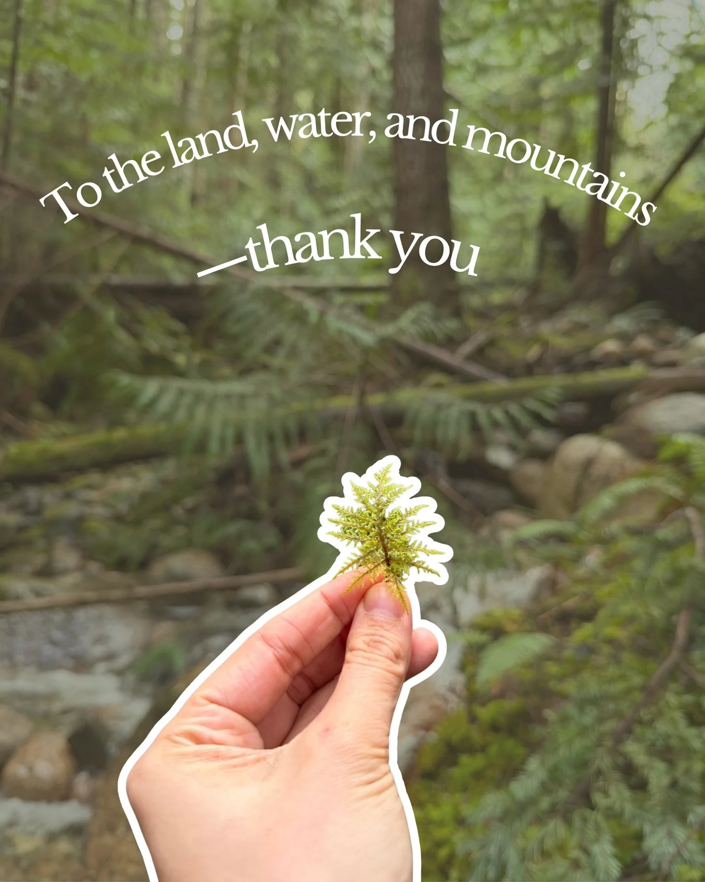 For holding us as we walk,
for meeting us in our hardest moments,
and for reminding us that healing can be slow, gentle, and shared.

May we learn to care for it
as it so quietly cares for us. 💚
.
.
.
.

#earthday #naturebasedtherapy