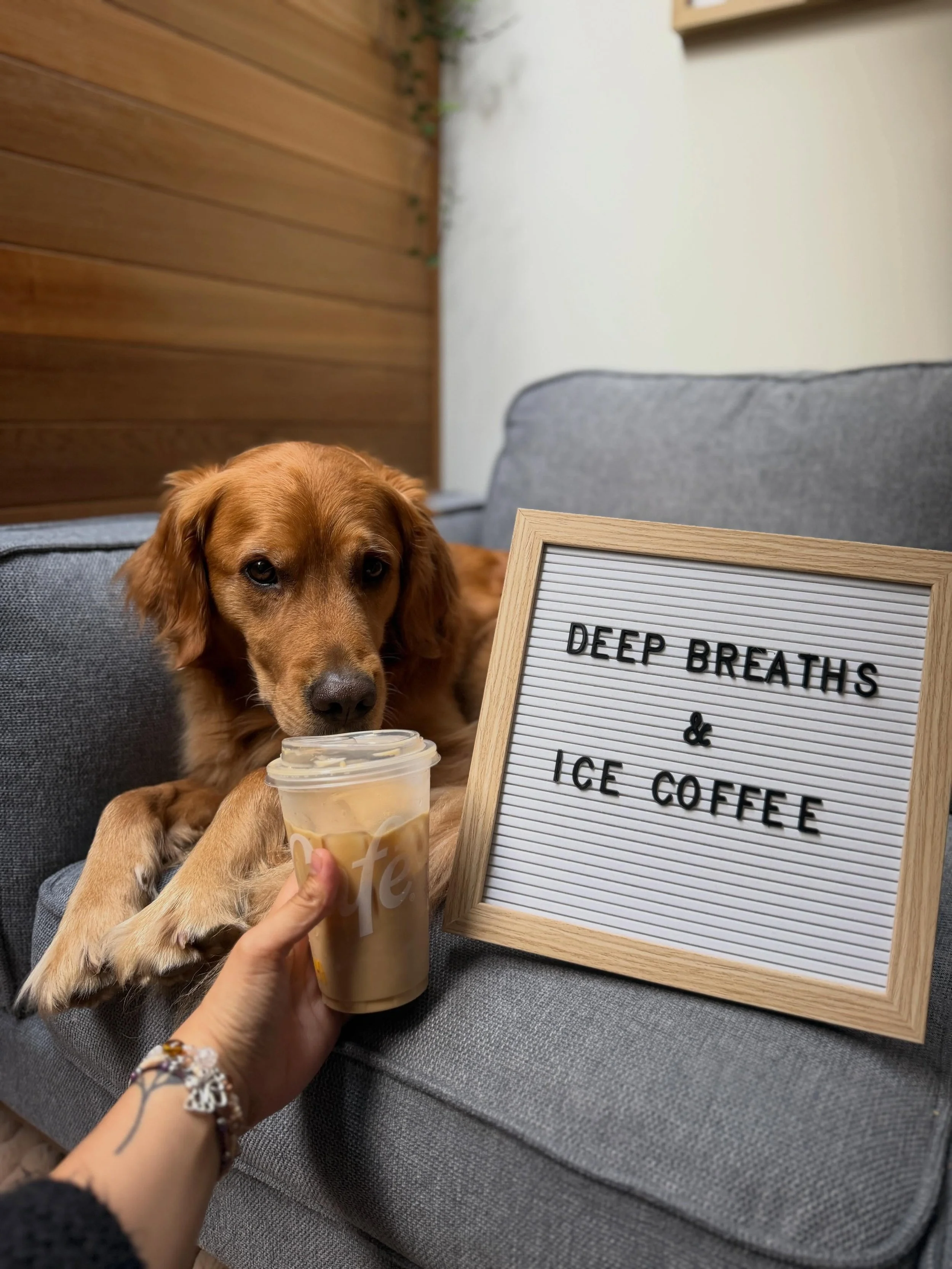 I know I know I&rsquo;ve been slacking on the quotes&hellip; forgive me 🙏

Okay but who else loves a MickeyDs ice coffee? 

MickeyDs > Timmies 😬