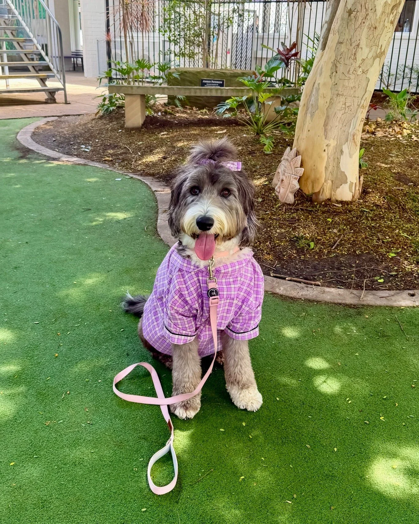 Thank you for reading with us Marjorie 📚🐶 @itsme_marjorieagnes